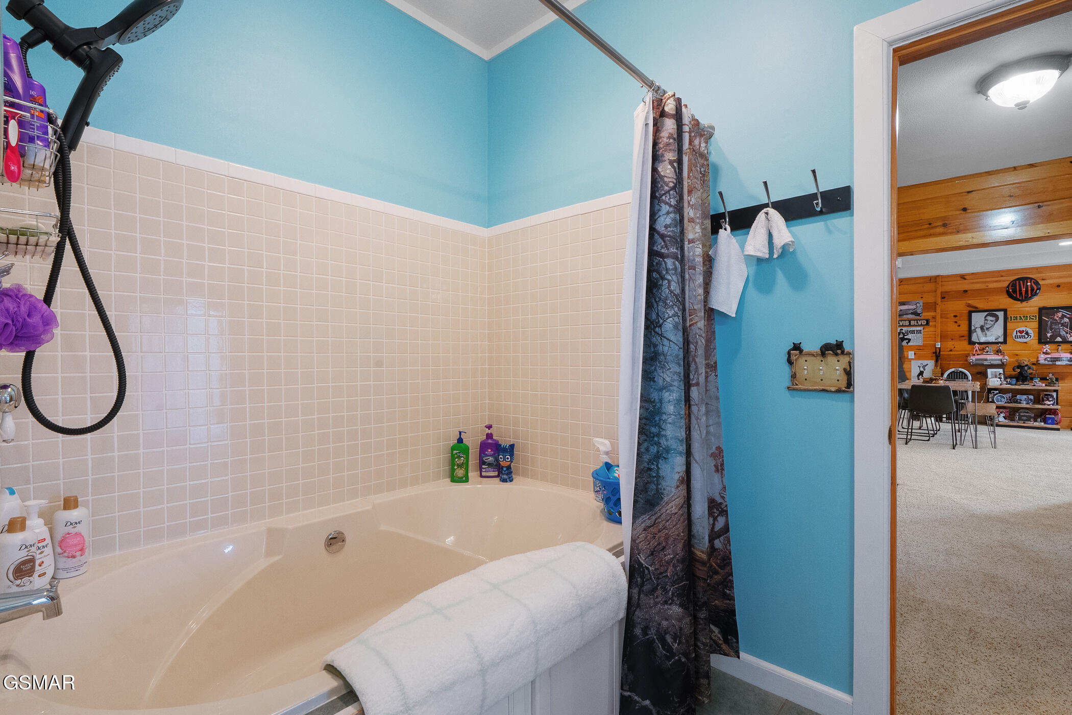 411 Maggie Mack Lane Sevierville TN 37862