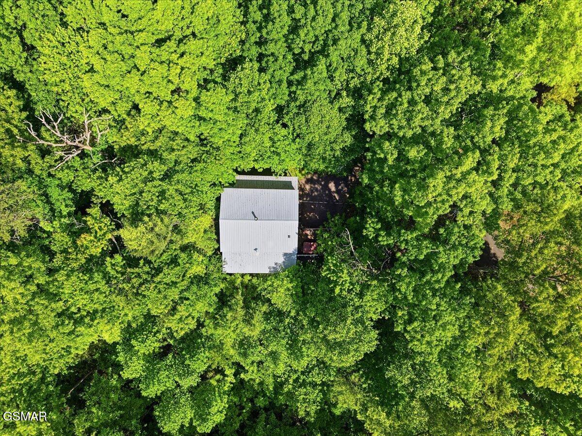 4340 Lakeshore Avenue Sevierville TN 37876