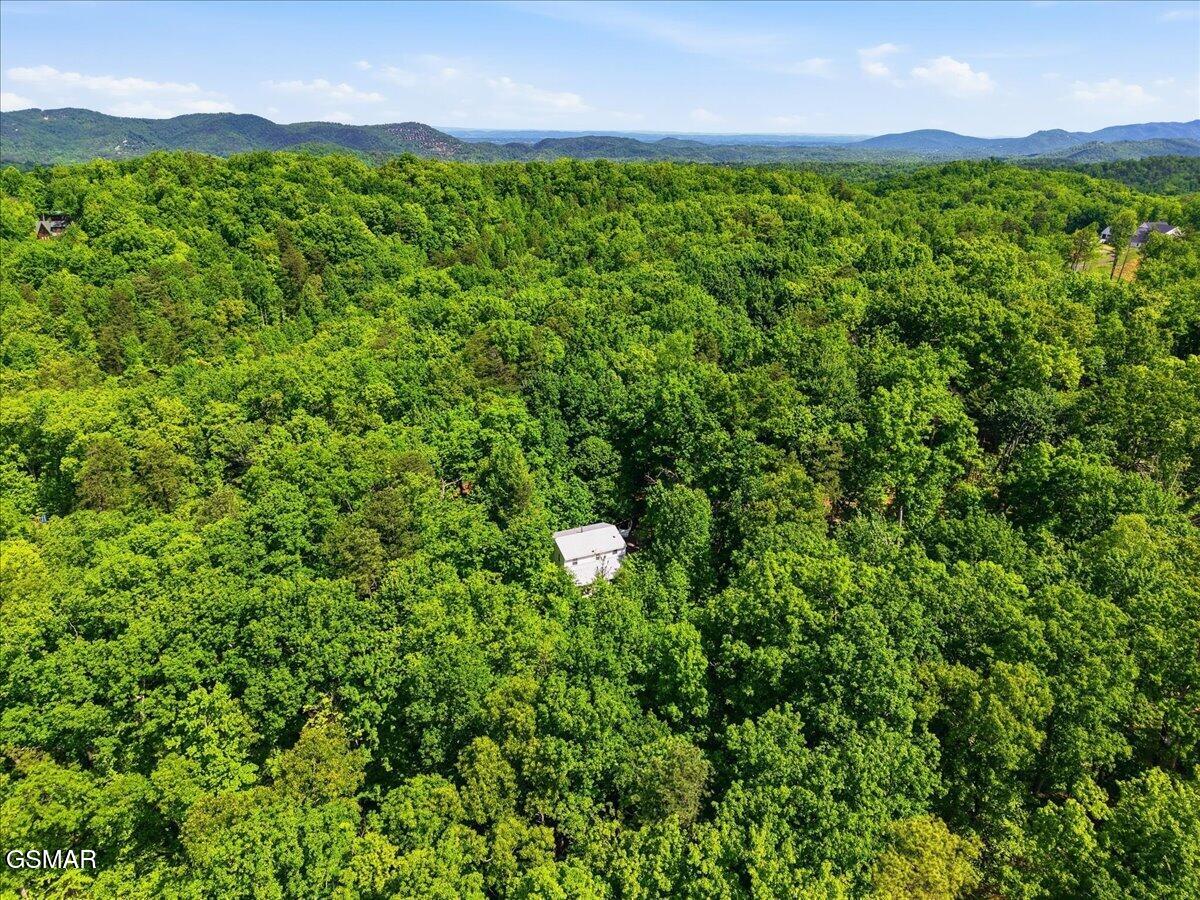 4340 Lakeshore Avenue Sevierville TN 37876