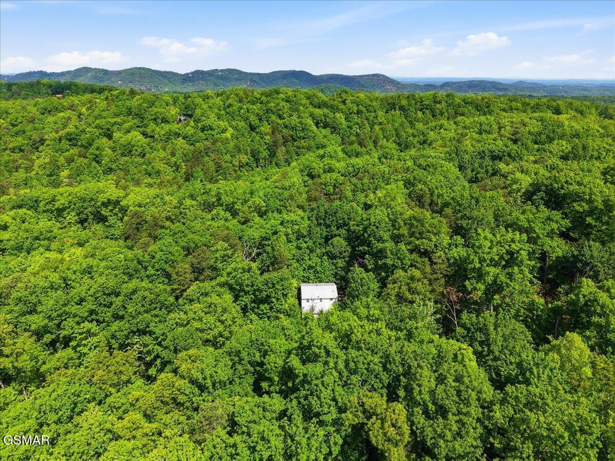 4340 Lakeshore Avenue Sevierville TN 37876