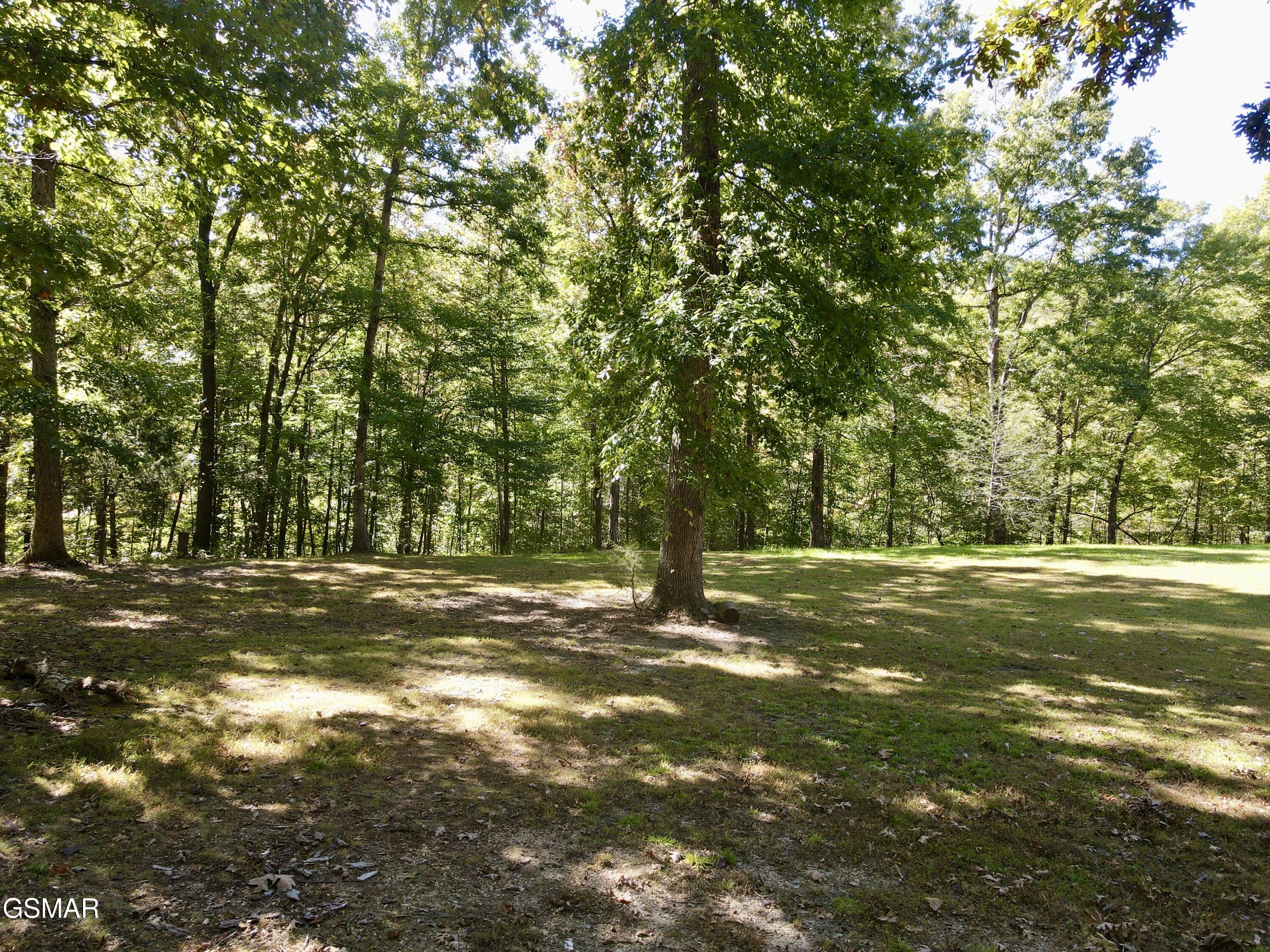 1530 Deer Browse Way Sevierville TN 37876