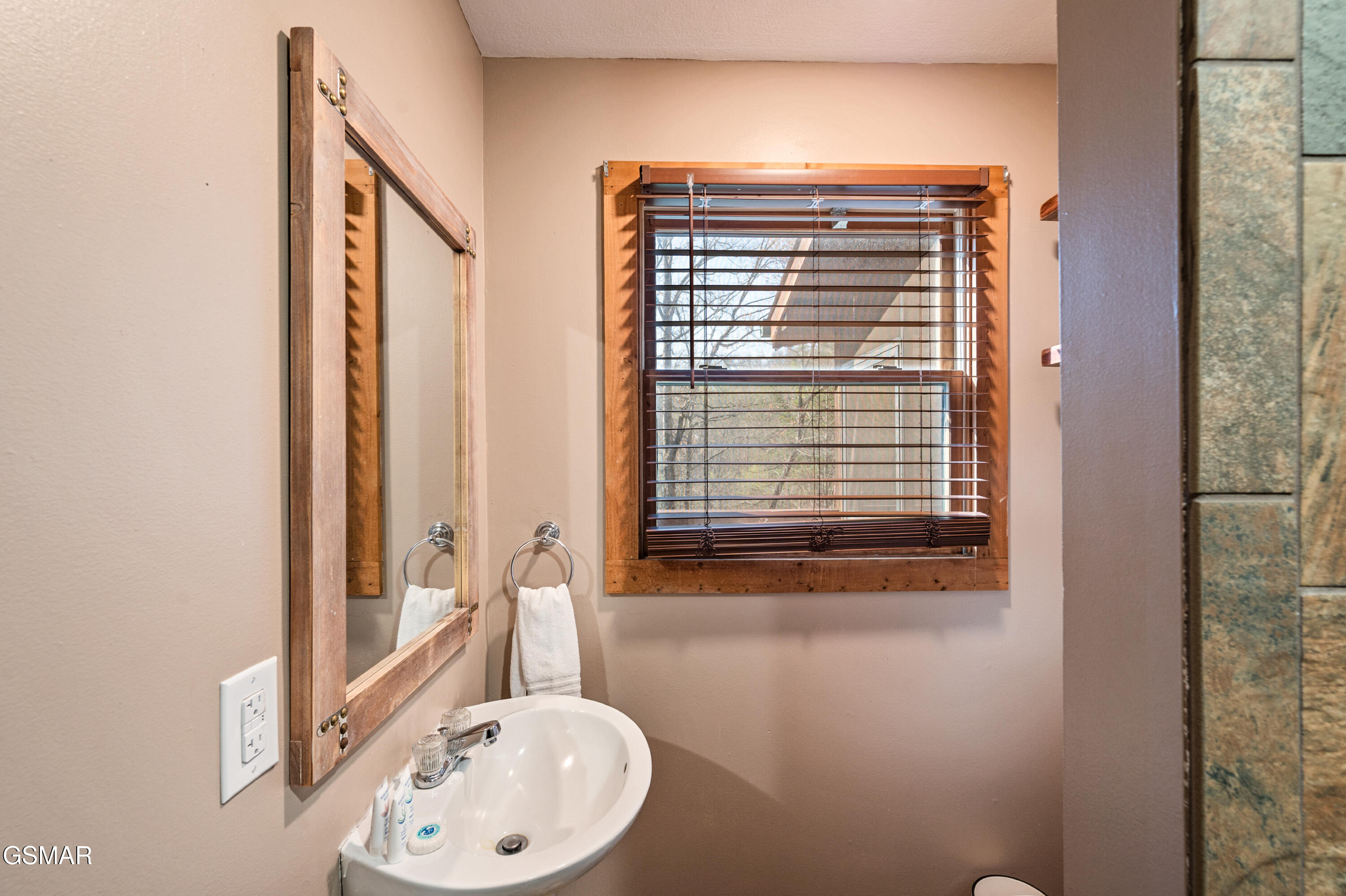 1530 Deer Browse Way Sevierville TN 37876