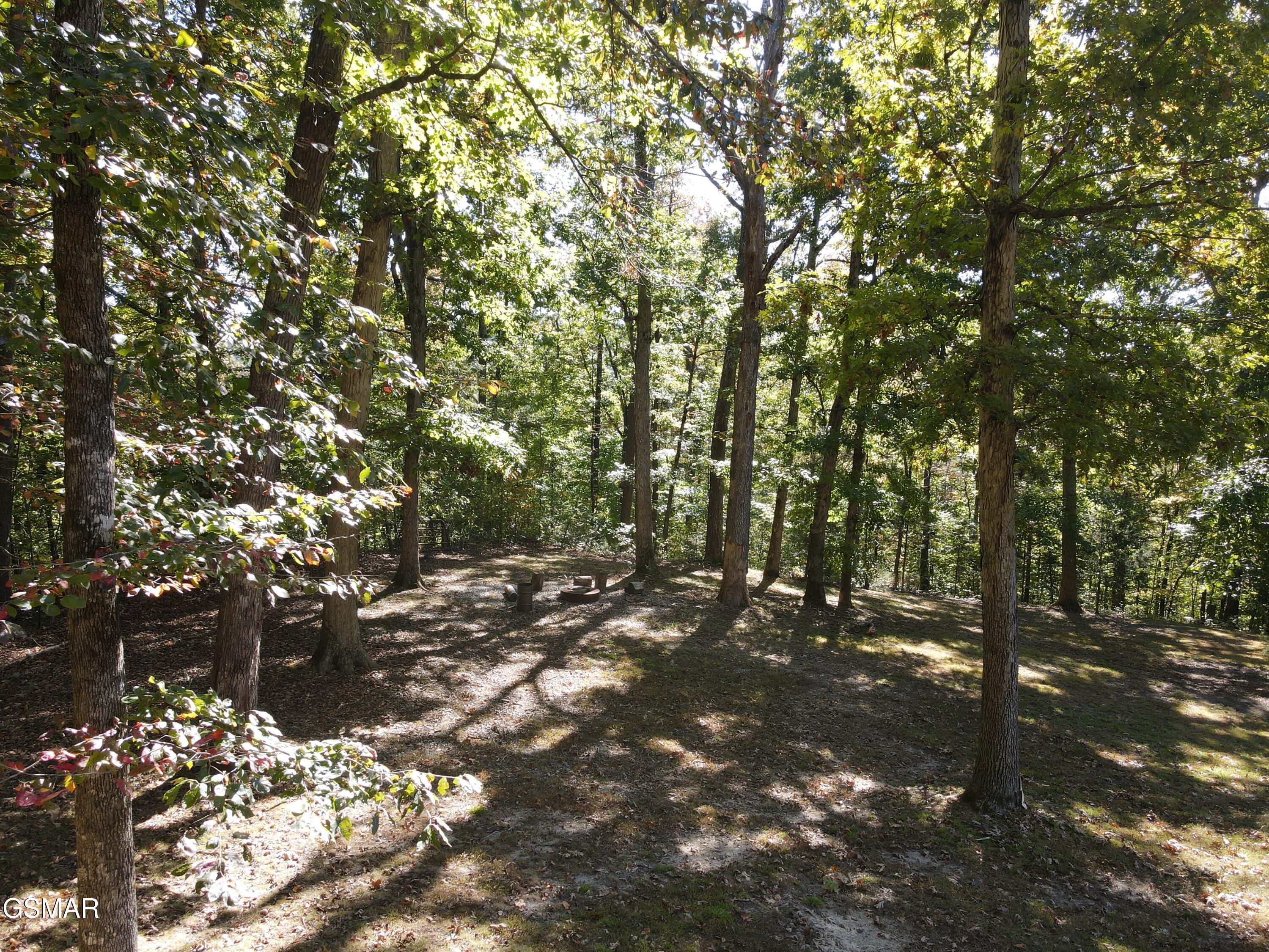 1530 Deer Browse Way Sevierville TN 37876