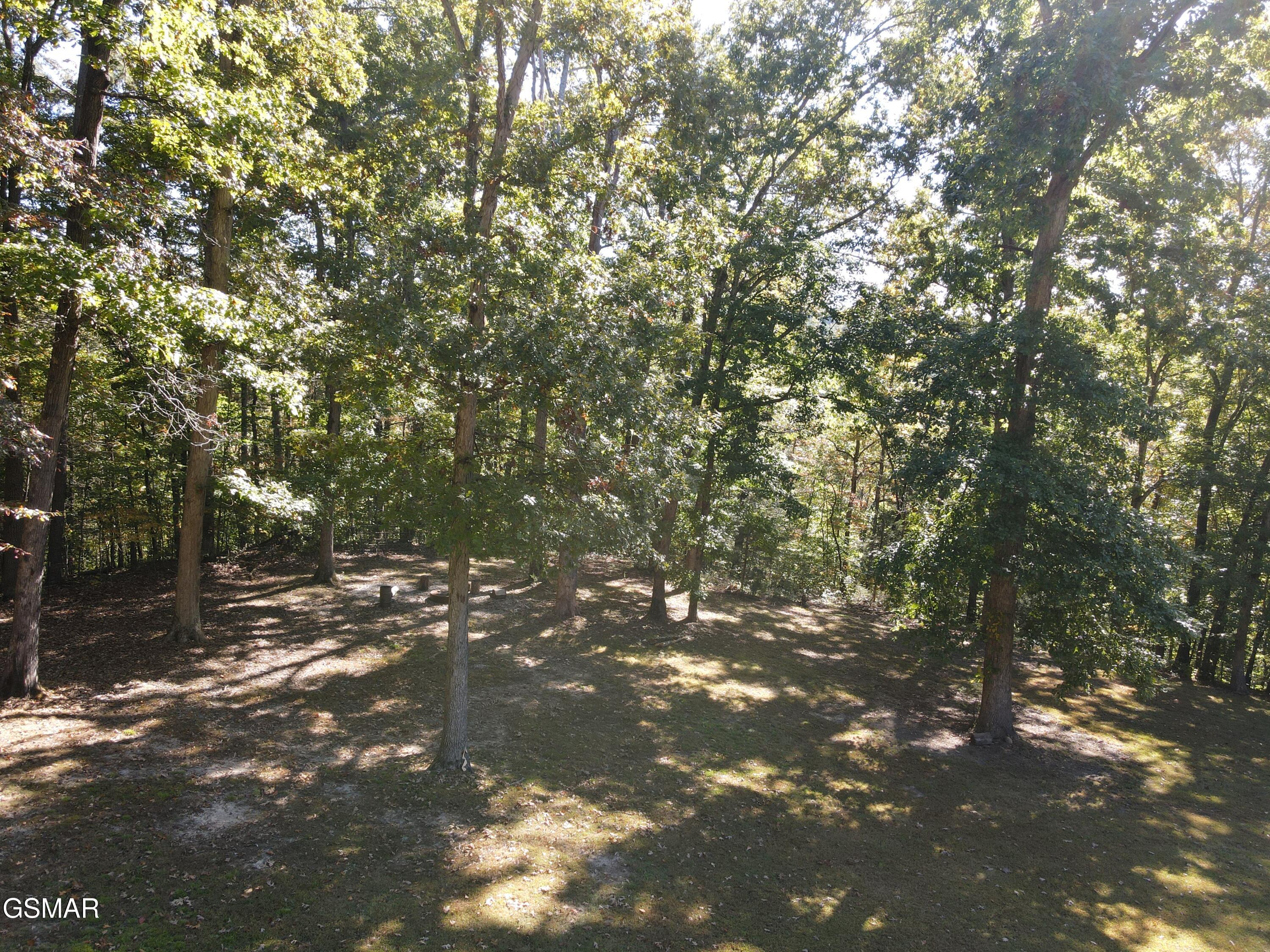 1530 Deer Browse Way Sevierville TN 37876
