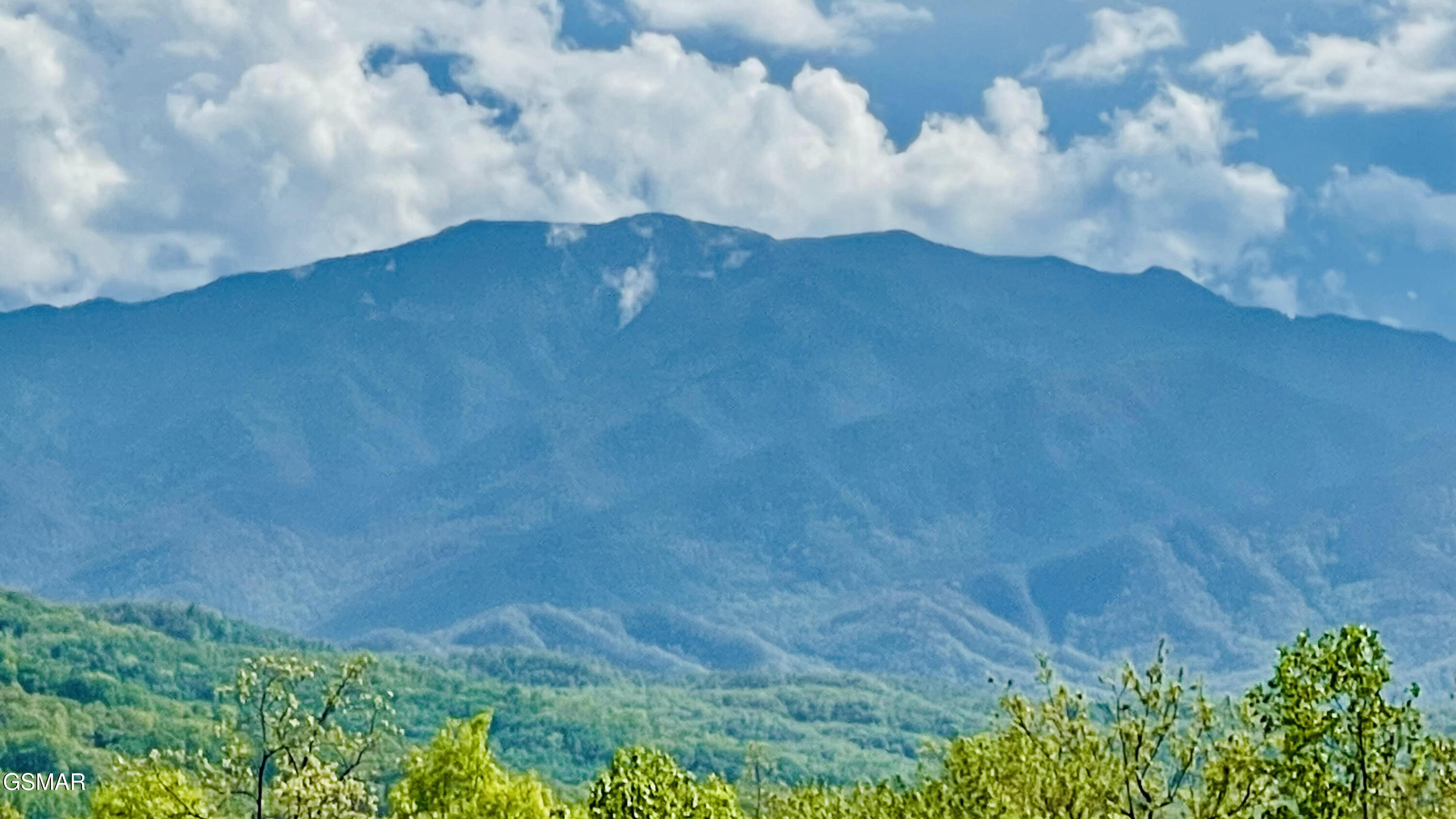 939 Vixen Run Gatlinburg TN 37738