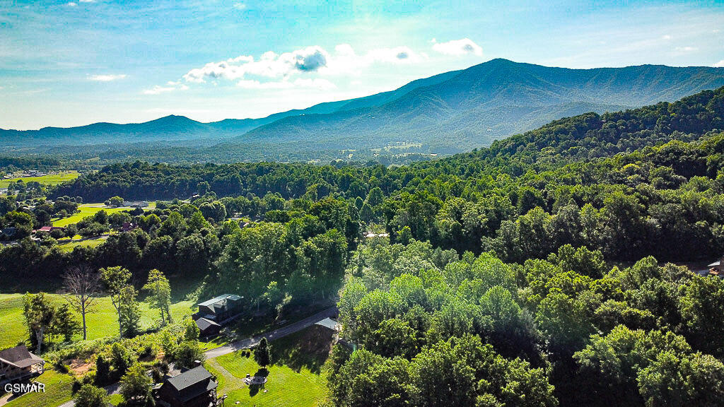 3136 Thomas Headrick Road Sevierville TN 37862