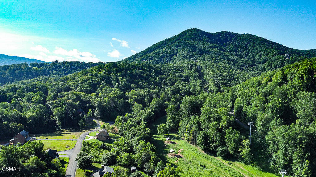3136 Thomas Headrick Road Sevierville TN 37862