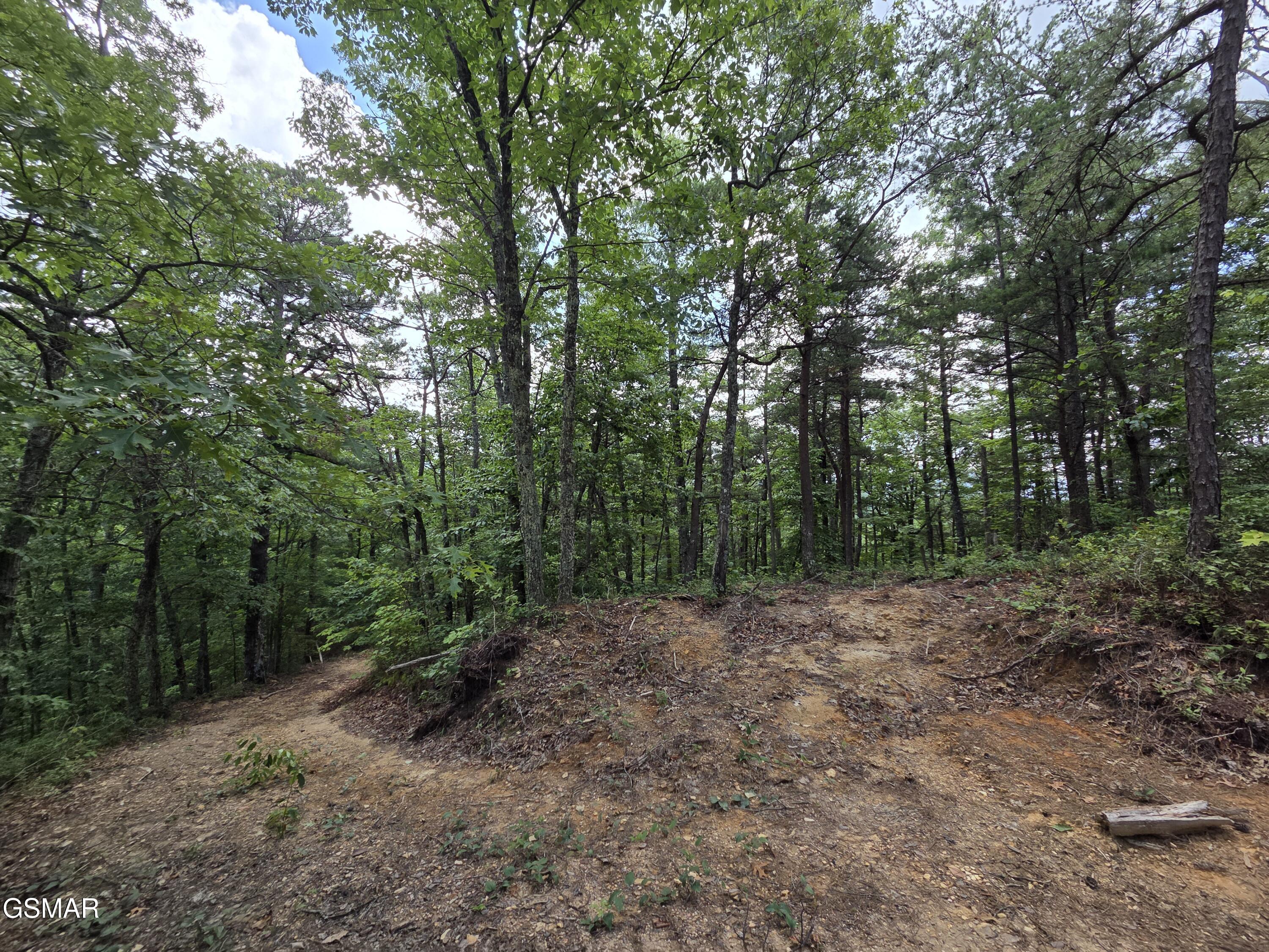 2865/2869 Happy Hollow Road Sevierville TN 37862