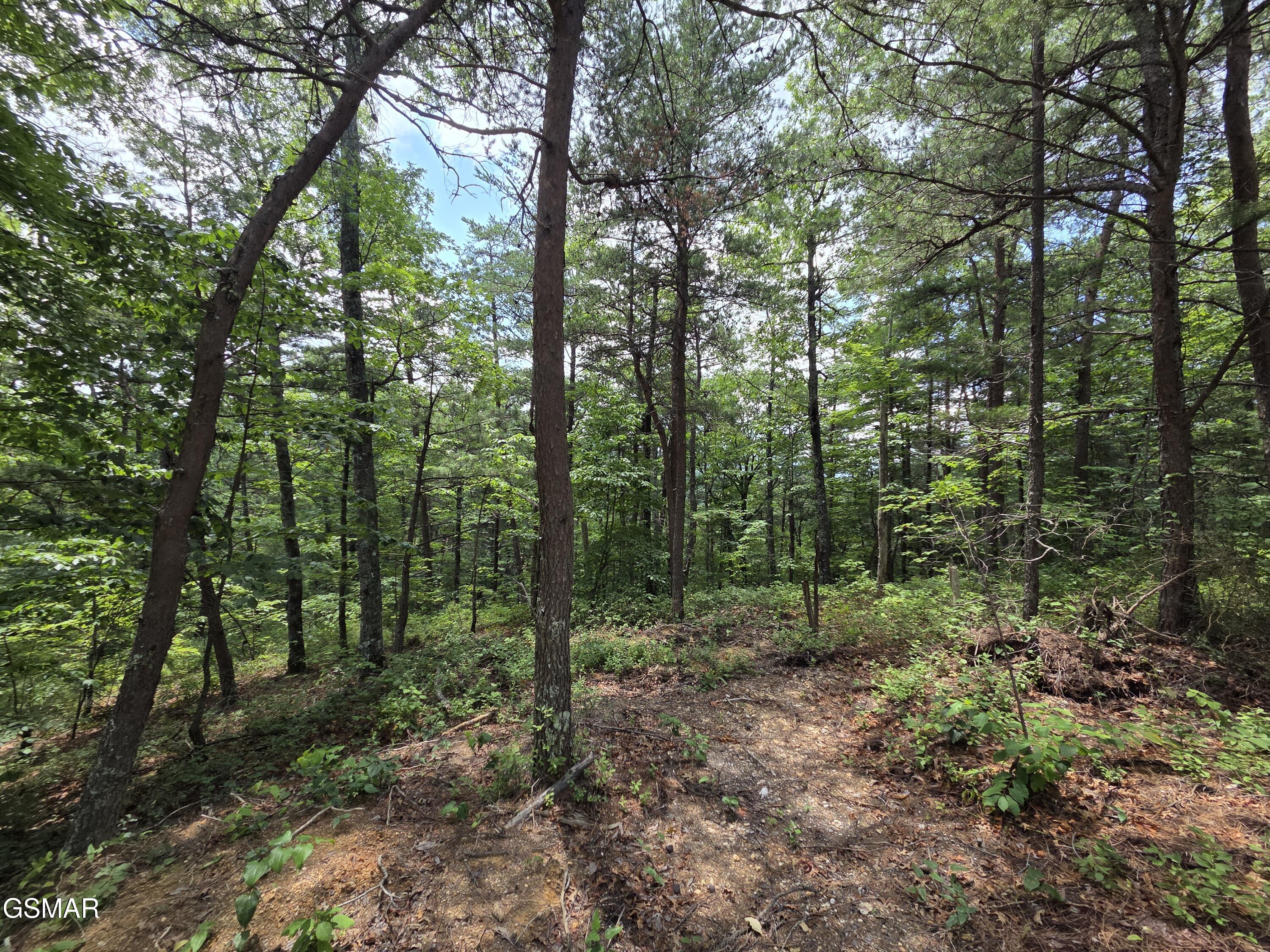 2865/2869 Happy Hollow Road Sevierville TN 37862