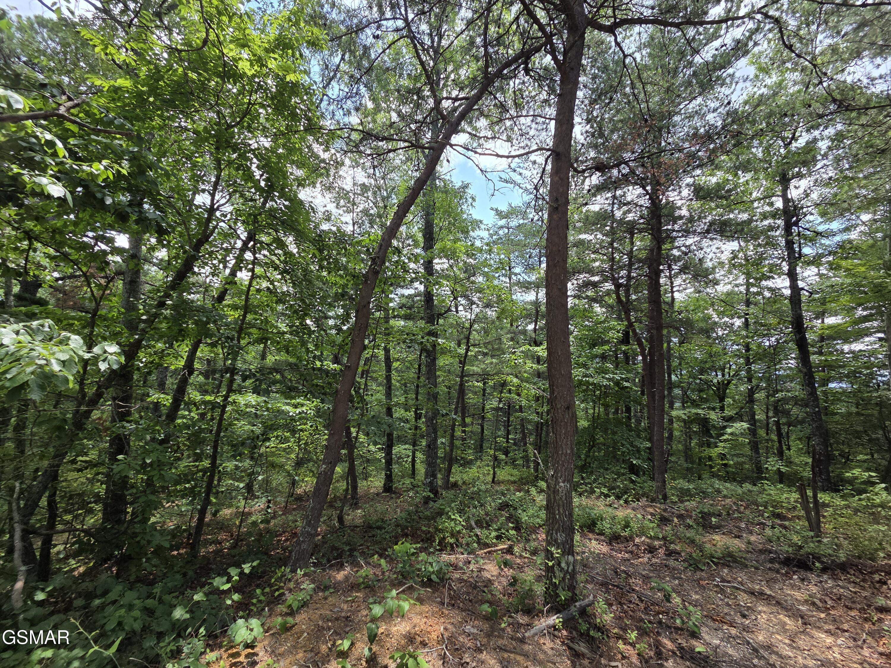 2865/2869 Happy Hollow Road Sevierville TN 37862