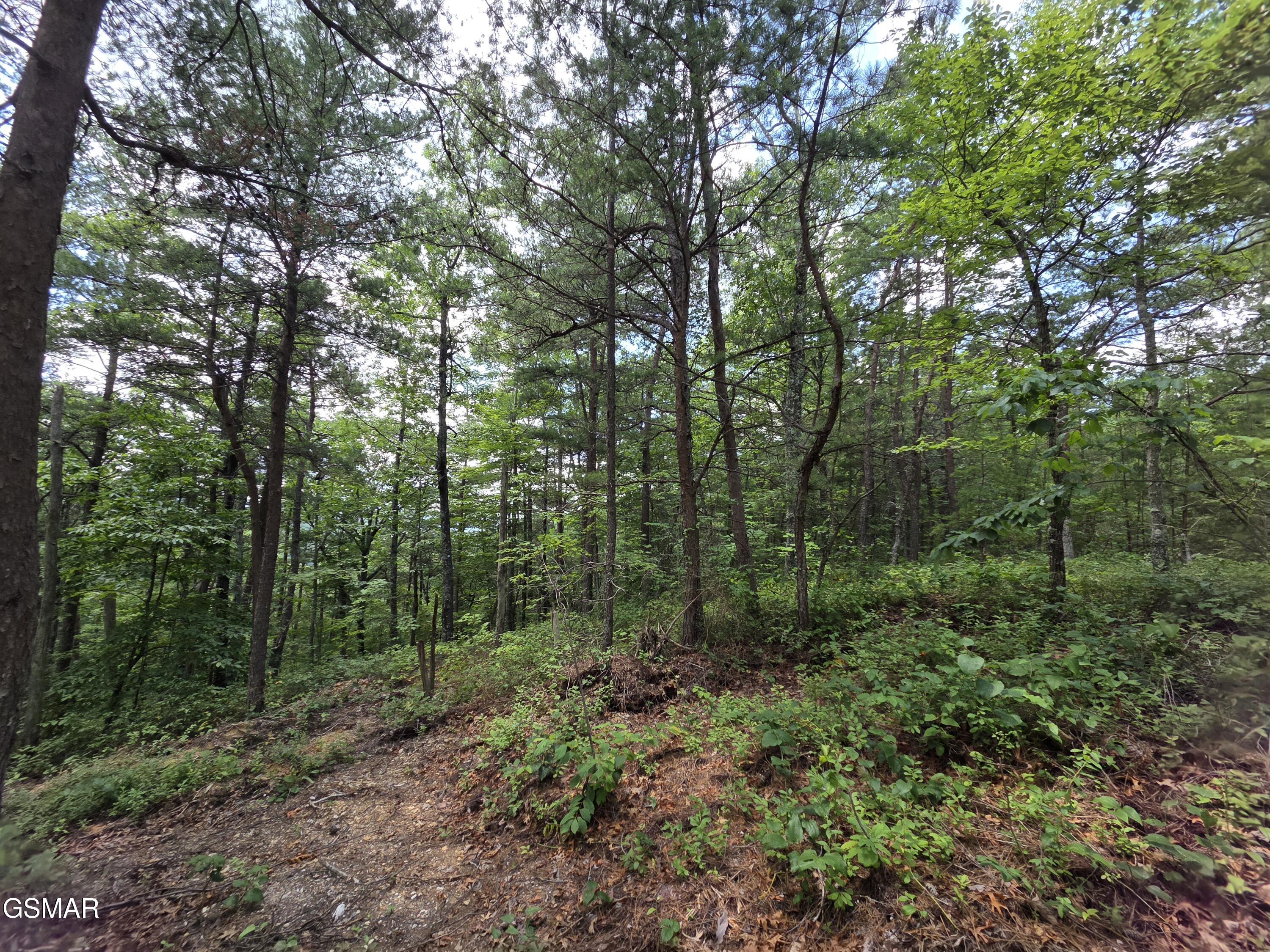 2865/2869 Happy Hollow Road Sevierville TN 37862