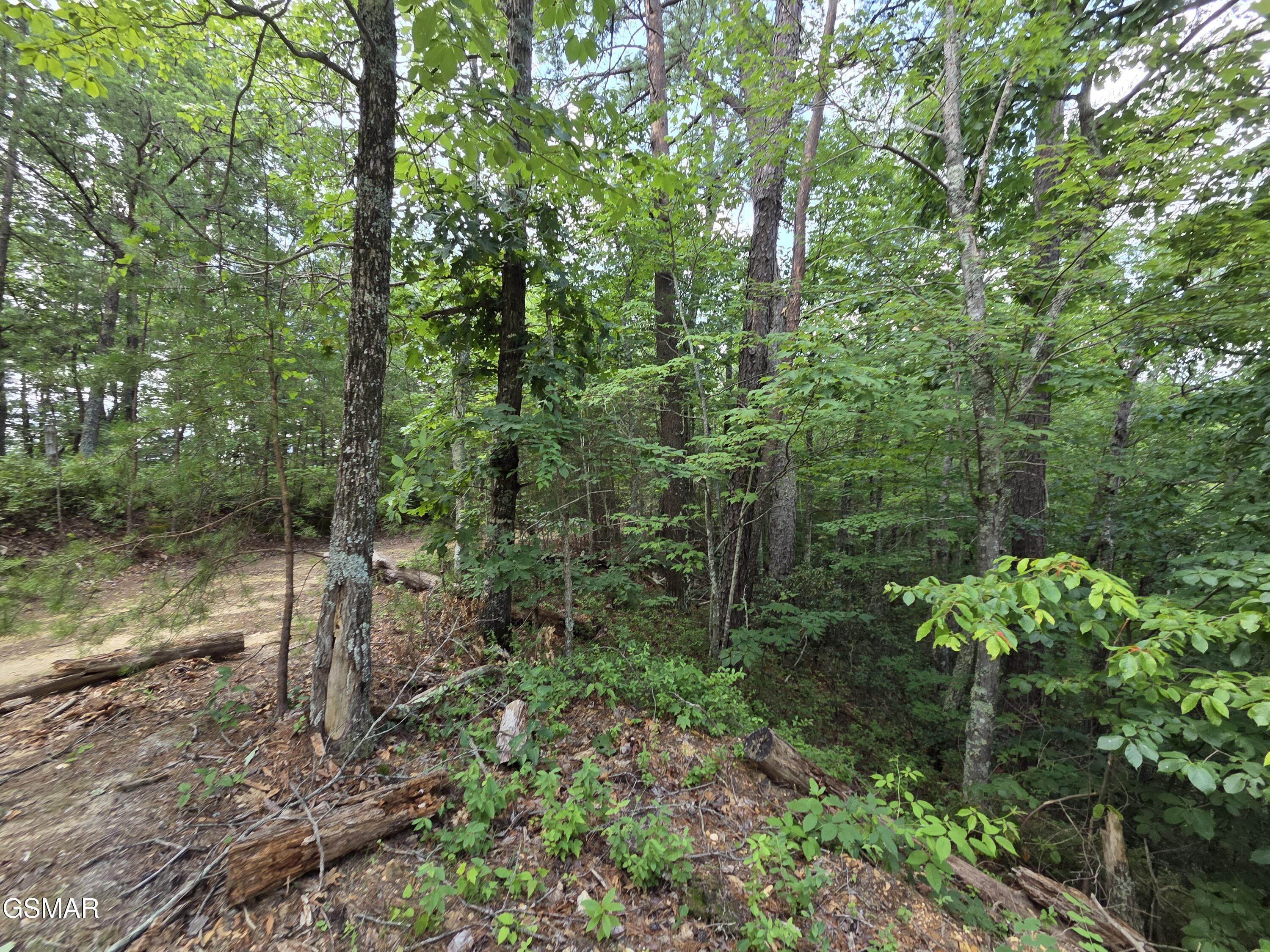 2865/2869 Happy Hollow Road Sevierville TN 37862