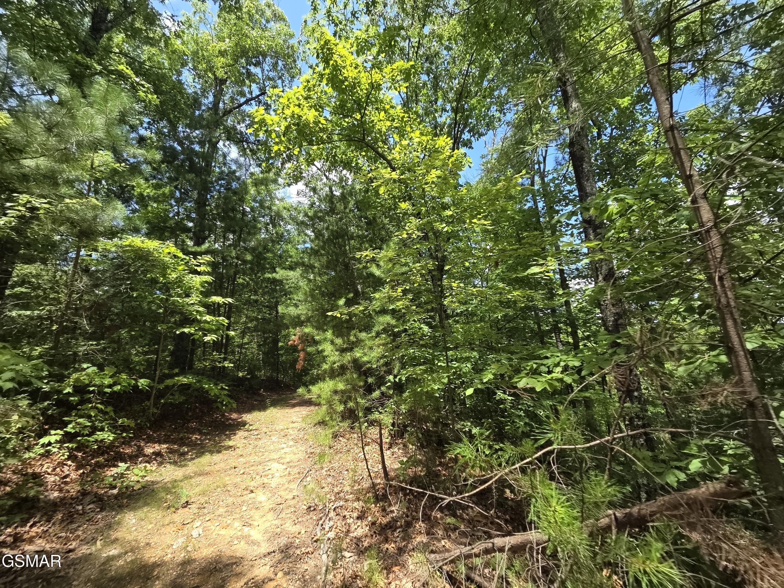 2865/2869 Happy Hollow Road Sevierville TN 37862