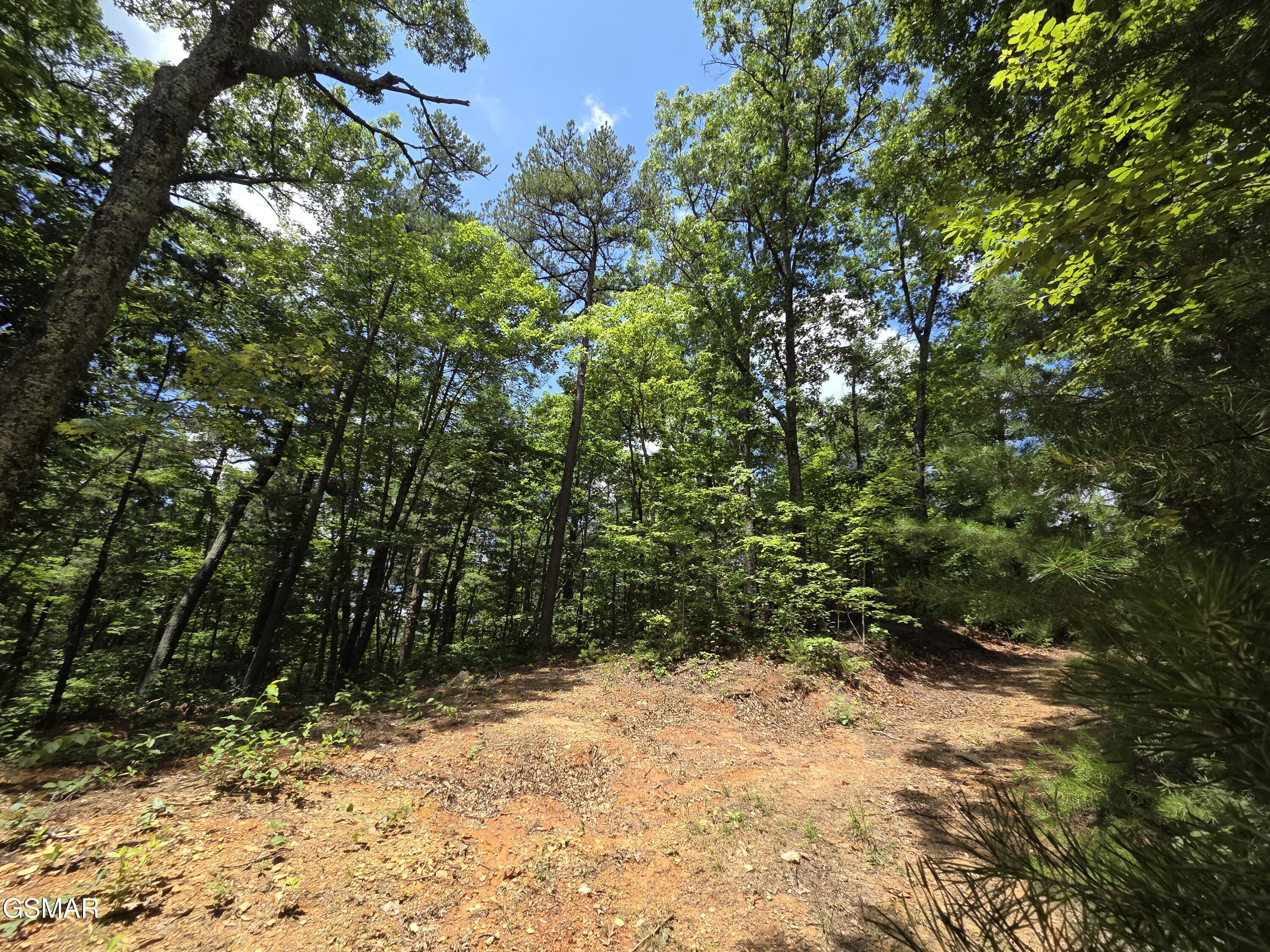 2865/2869 Happy Hollow Road Sevierville TN 37862