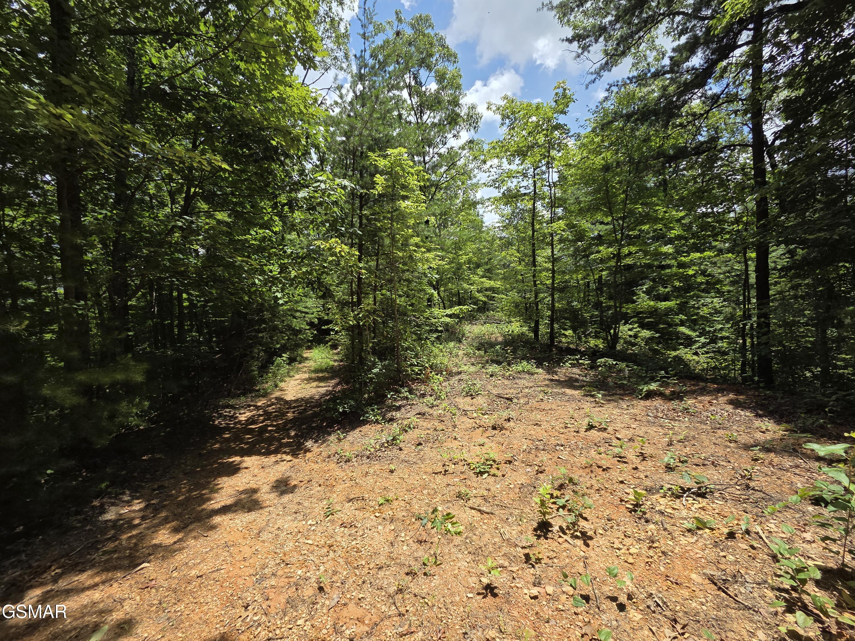 2865/2869 Happy Hollow Road Sevierville TN 37862