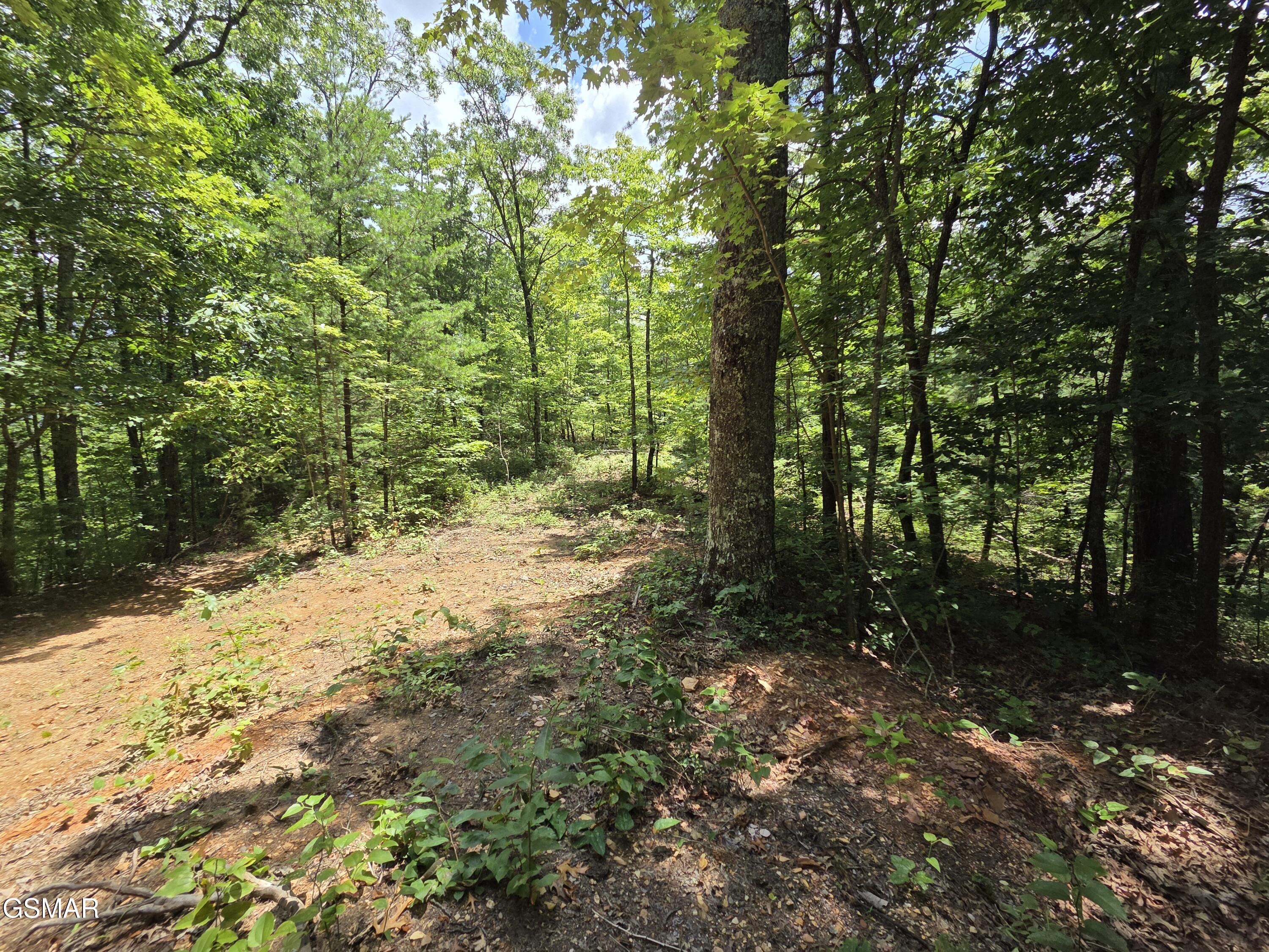 2865/2869 Happy Hollow Road Sevierville TN 37862