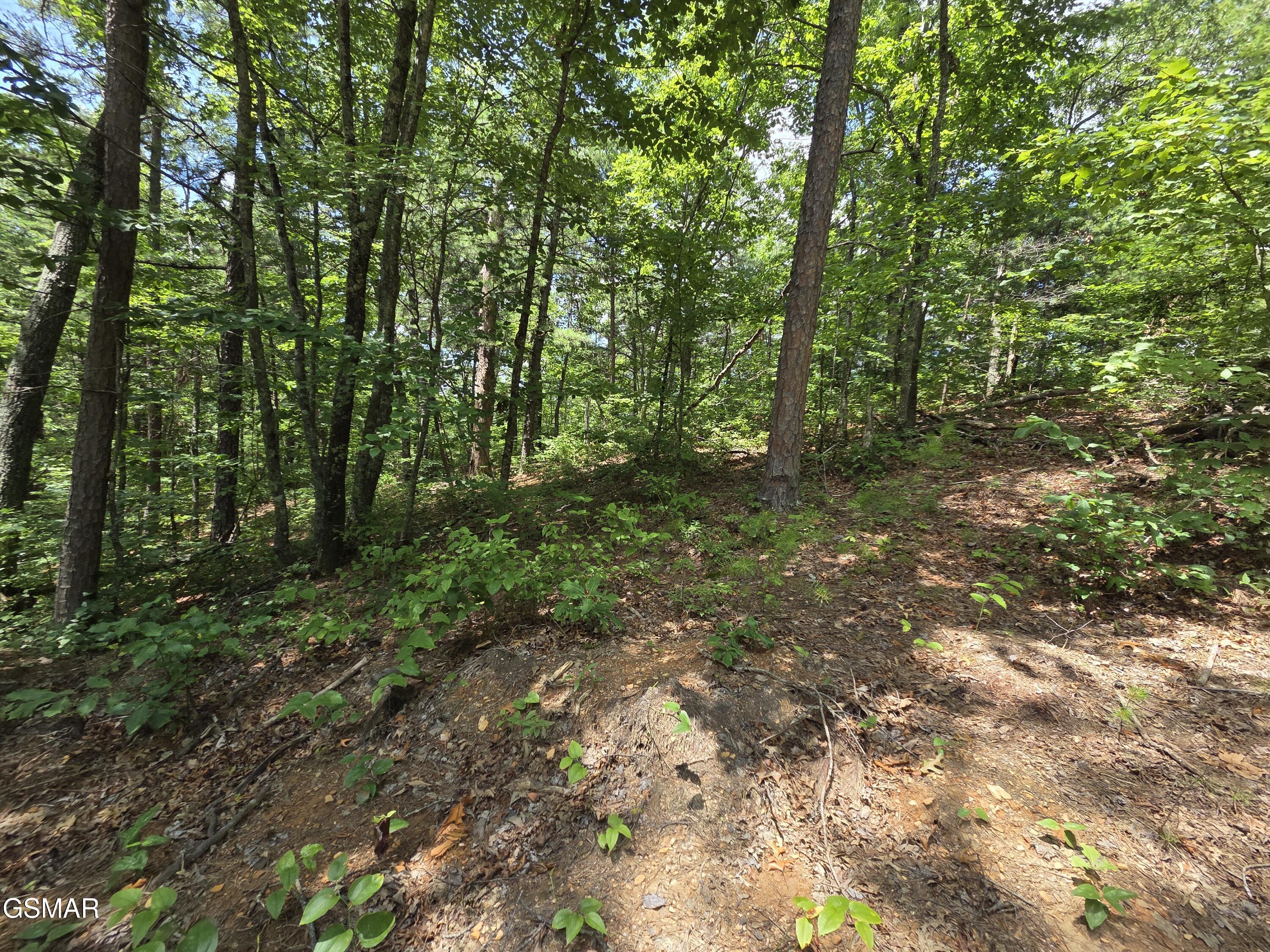 2865/2869 Happy Hollow Road Sevierville TN 37862