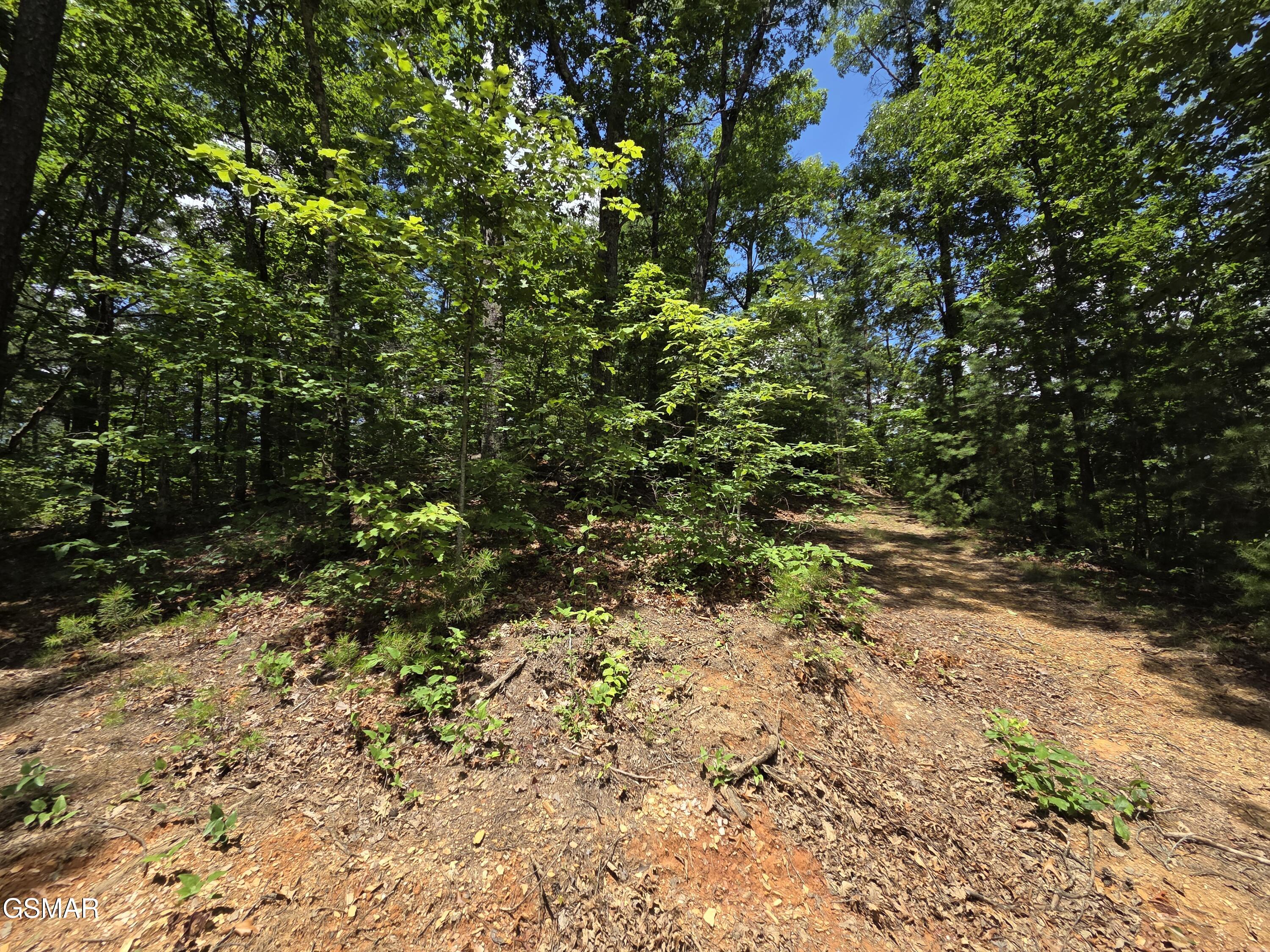 2865/2869 Happy Hollow Road Sevierville TN 37862