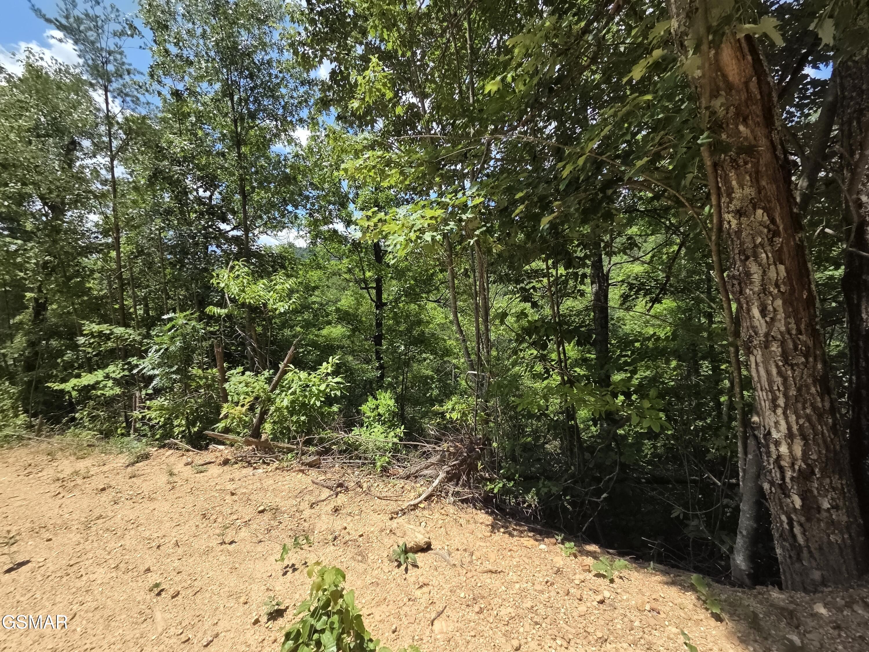 2865/2869 Happy Hollow Road Sevierville TN 37862