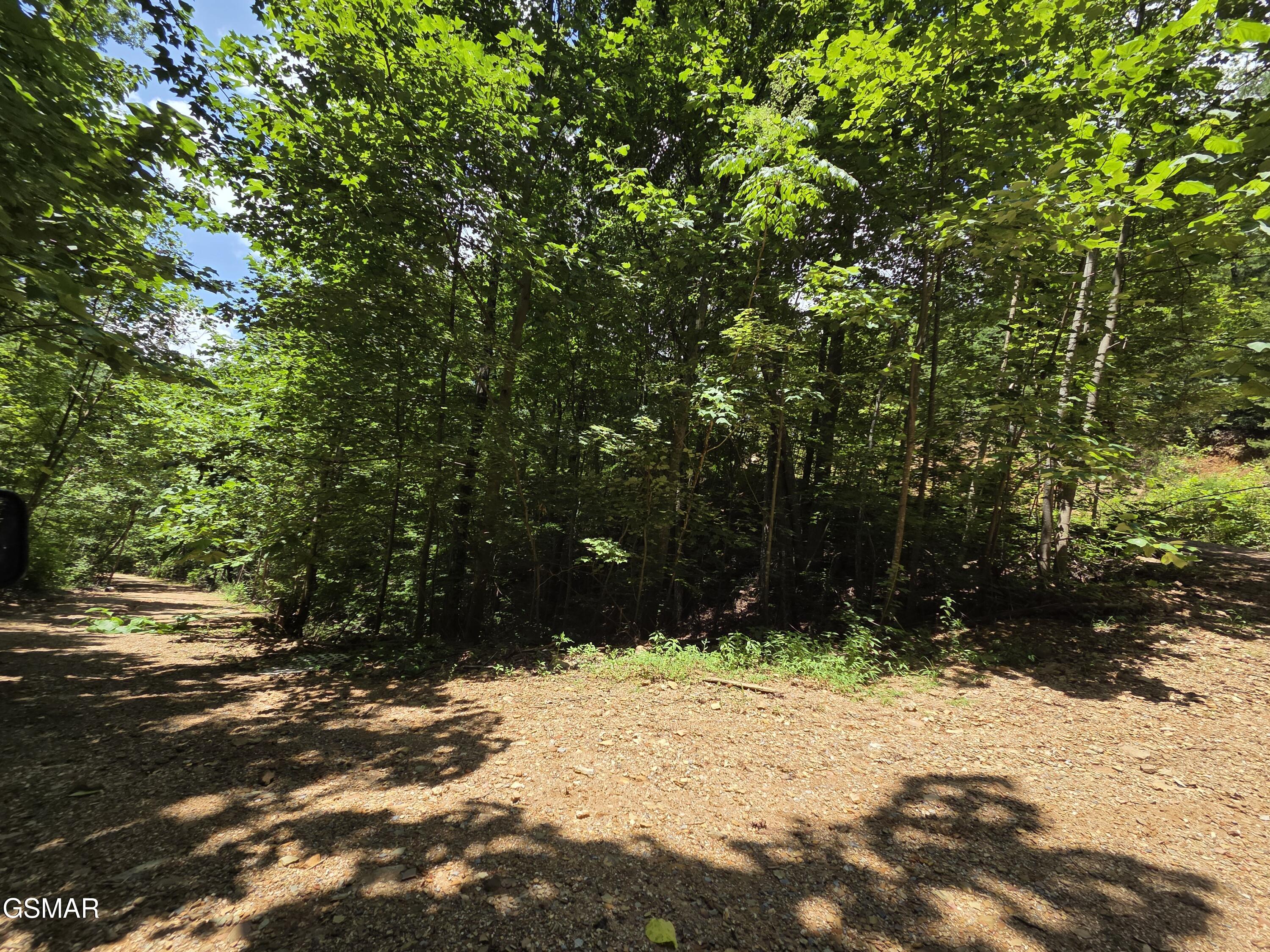 2865/2869 Happy Hollow Road Sevierville TN 37862