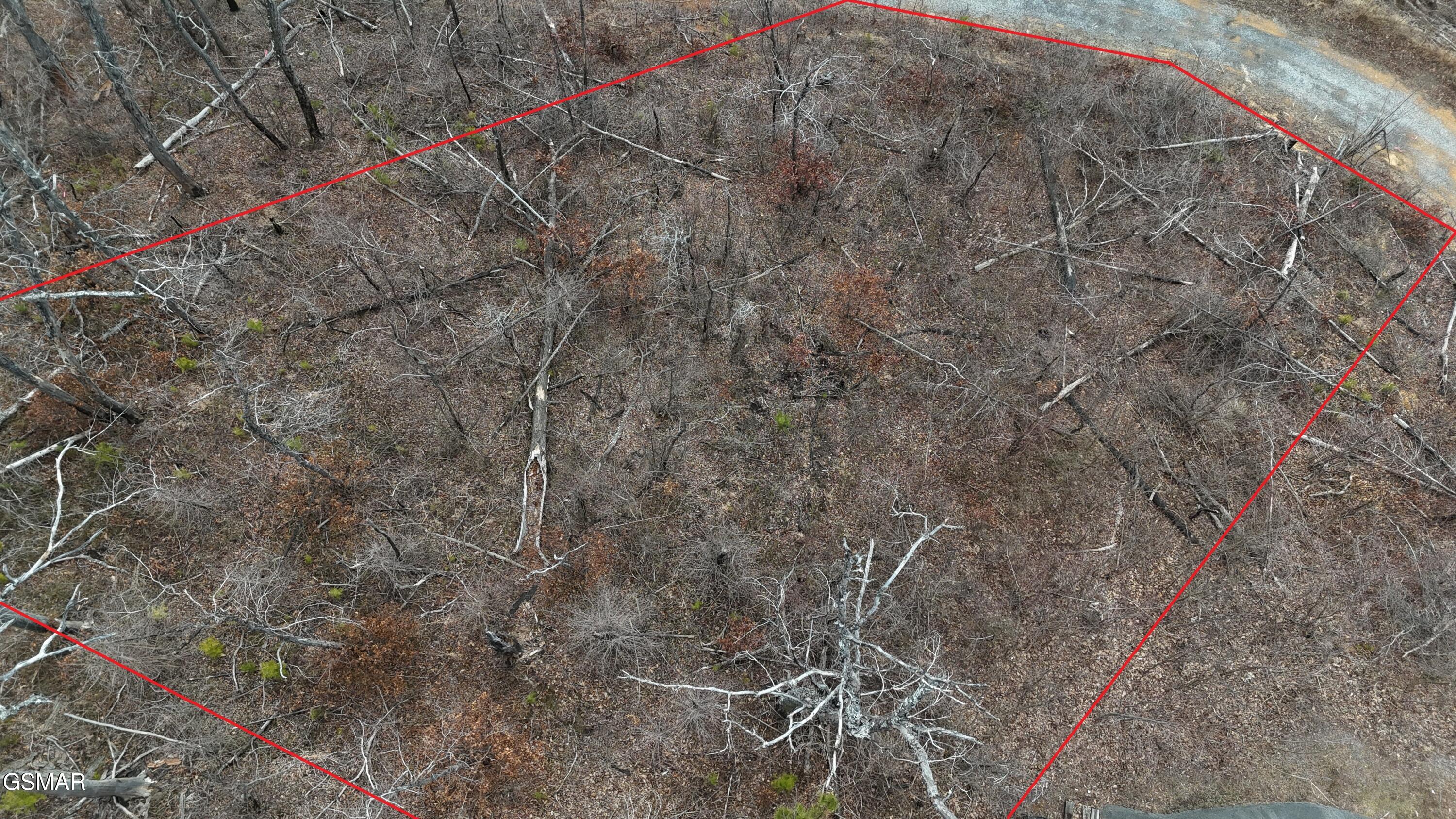2207 Headrick Lead Sevierville TN 37862