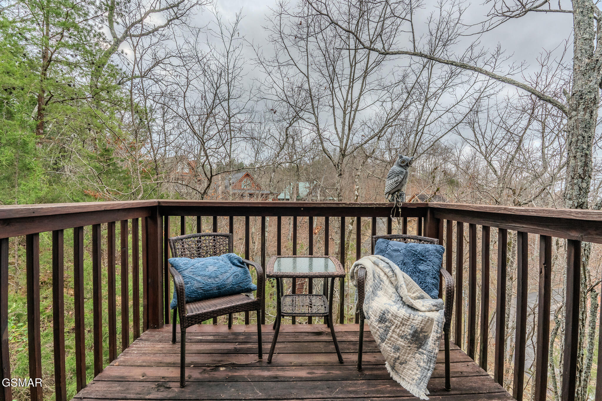 1038 Willard Way Sevierville TN 37876