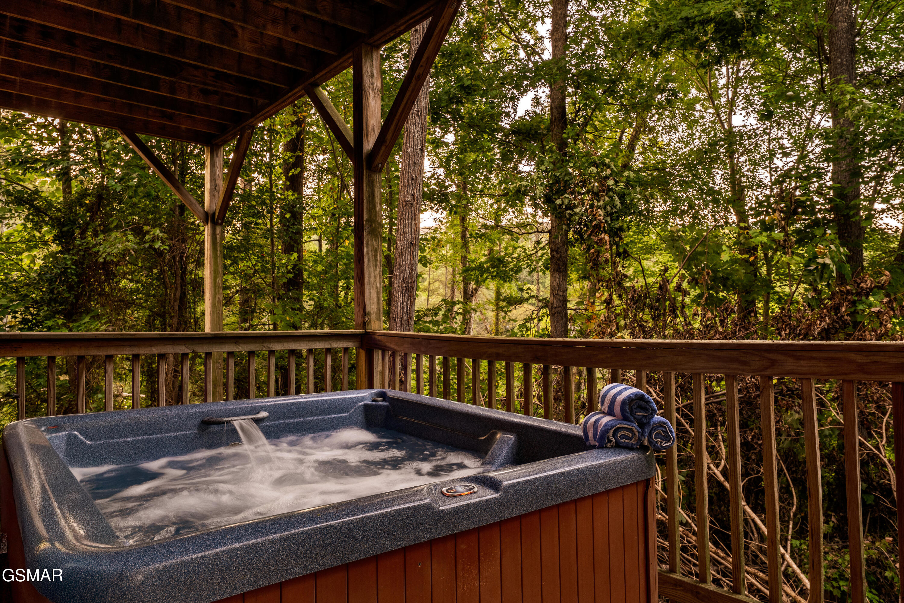 2615 Bear Crossing Way Sevierville TN 37862