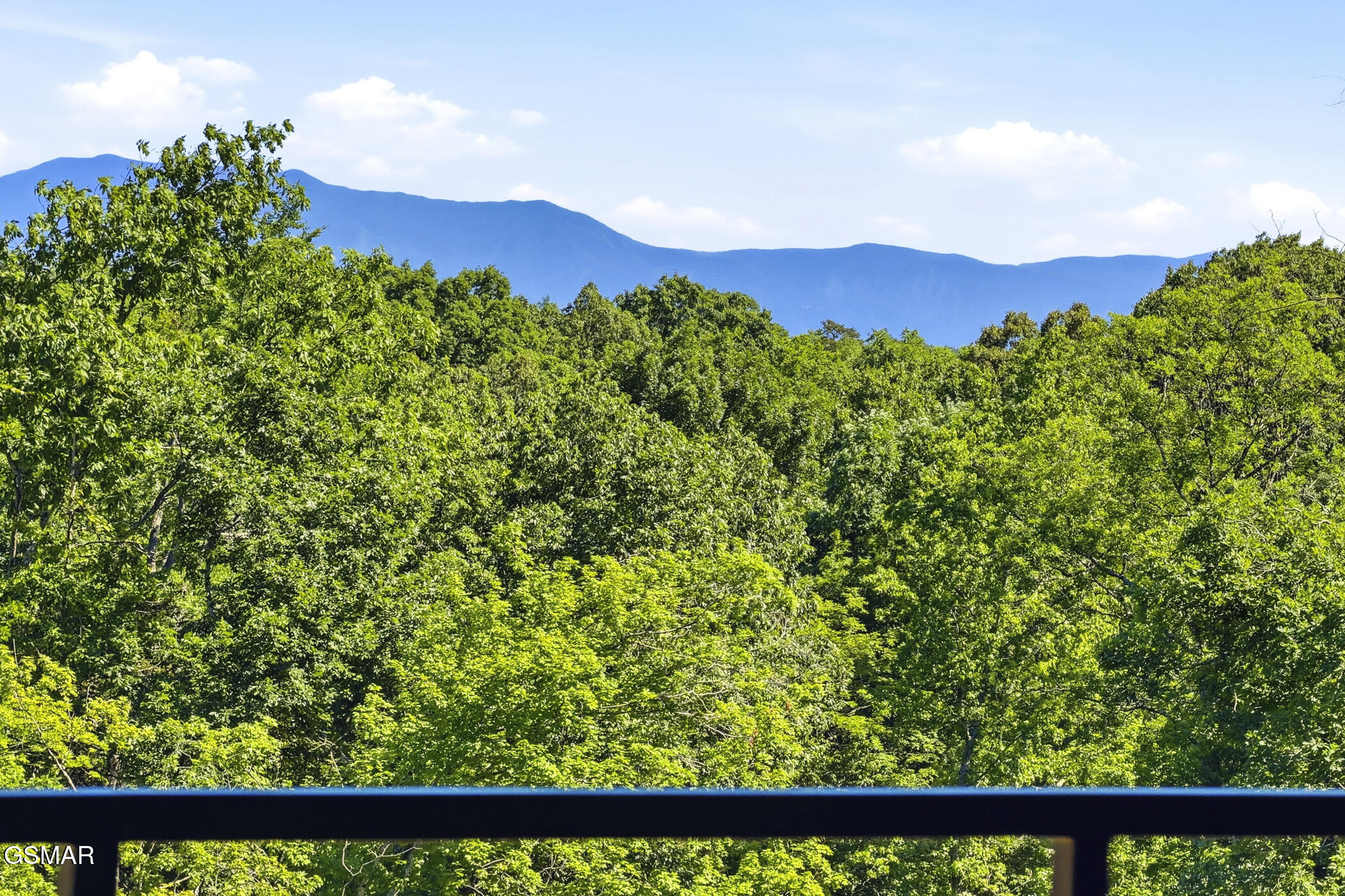 1234 Reedmont Way Sevierville TN 37876