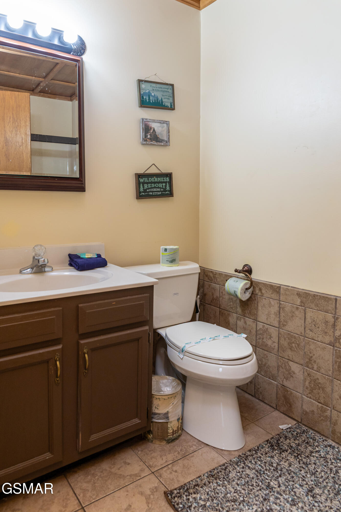 1107 Fox Run Gatlinburg TN 37738