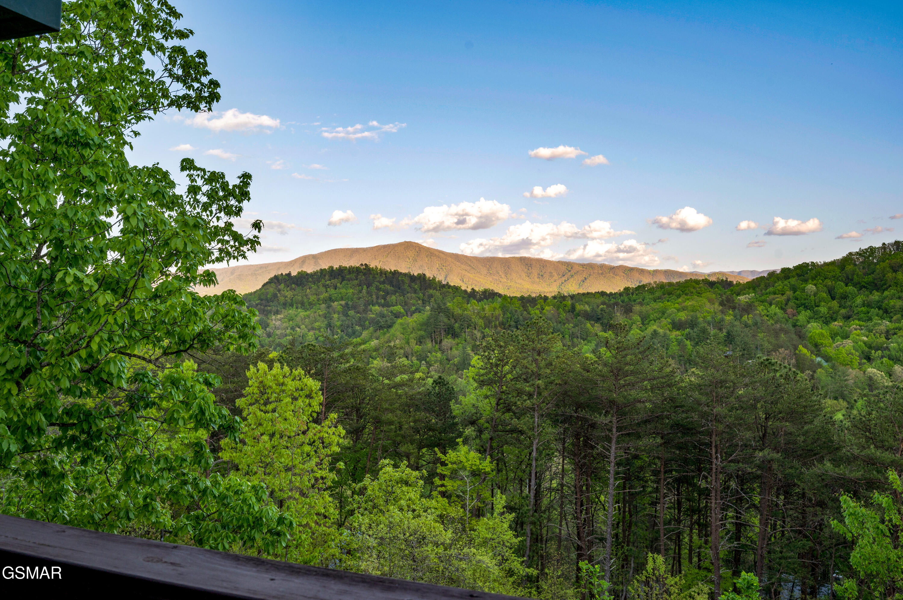 2633 Raccoon Hollow Way Sevierville TN 37862
