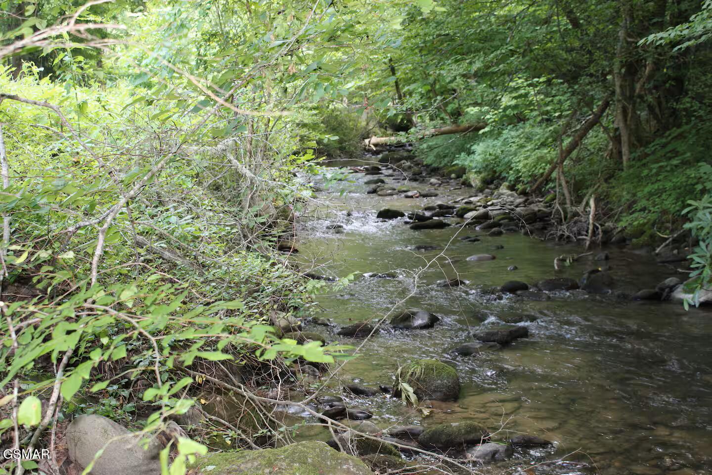 676 Rocky Flats Road Cosby TN 37722