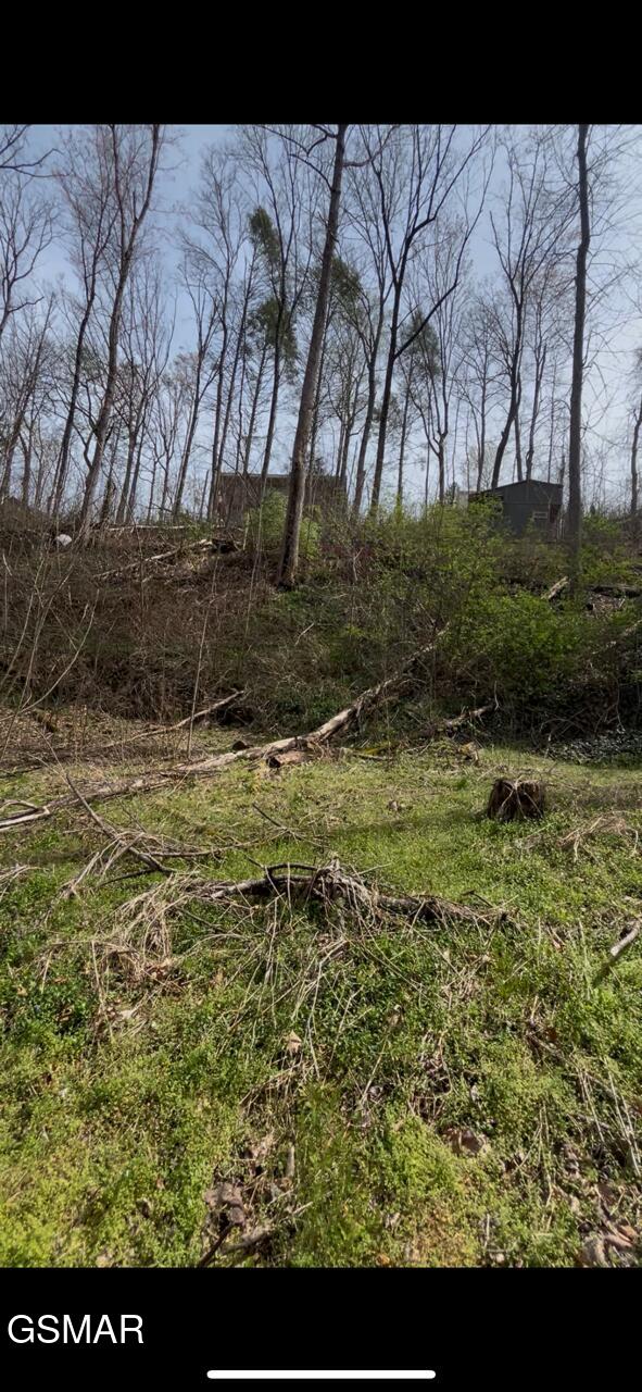 341 Silverbell Lane Gatlinburg TN 37738