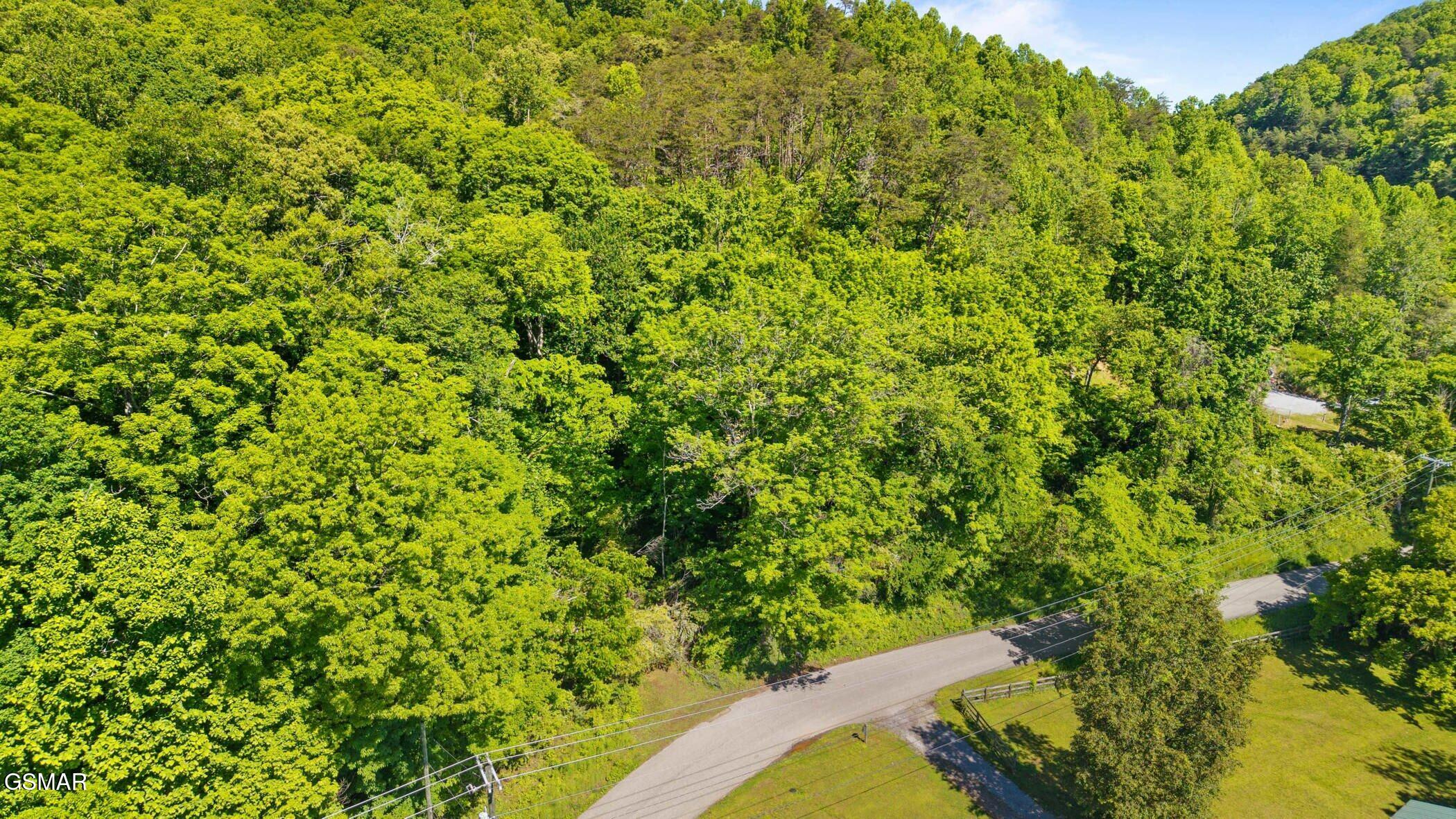 1209 E Bullrun Valley Powell TN 37849
