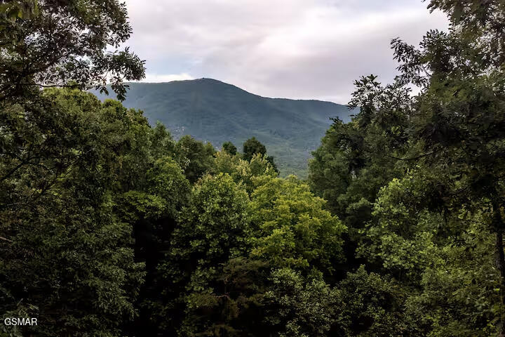 3436 Quail Way Sevierville TN 37862