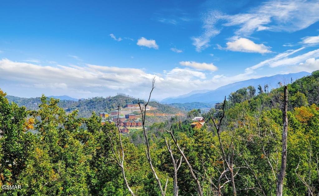 605 Wiley Oakley Drive Gatlinburg TN 37738