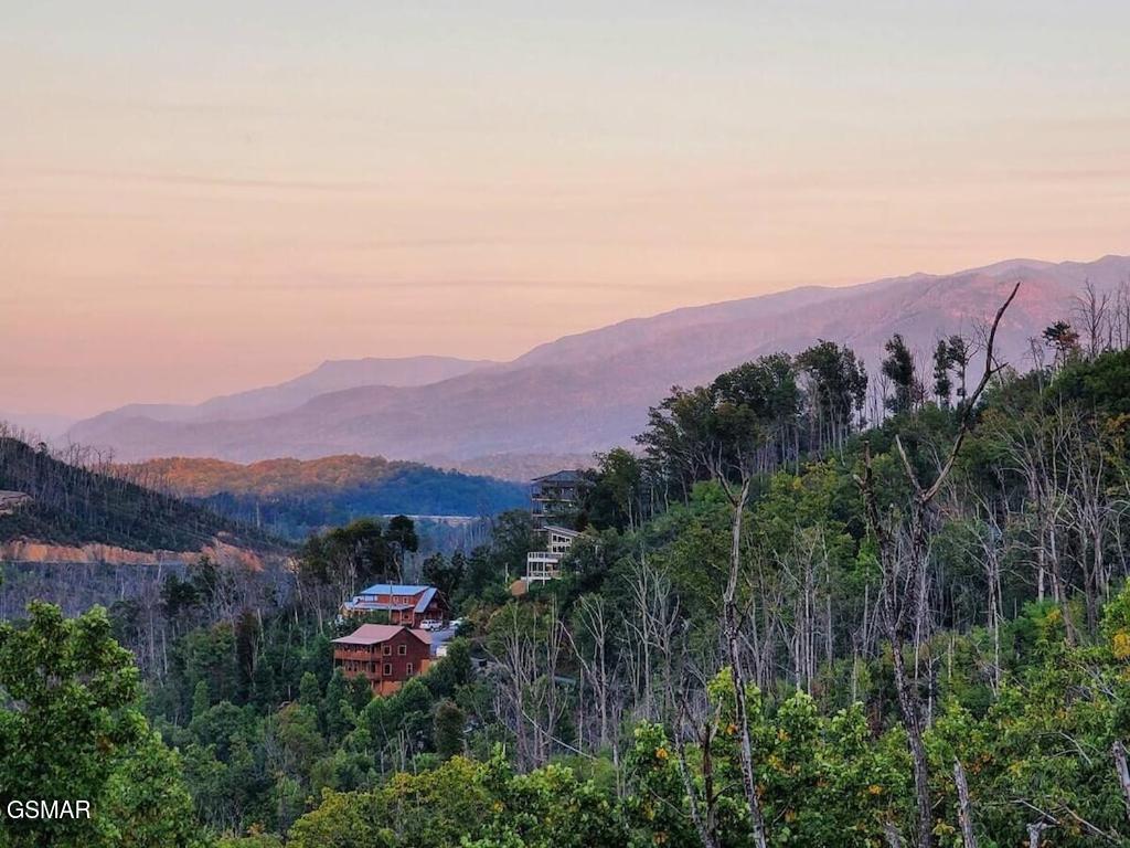 605 Wiley Oakley Drive Gatlinburg TN 37738