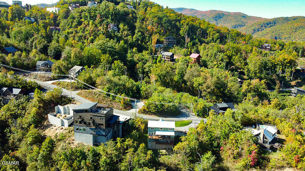 605 Wiley Oakley Drive Gatlinburg TN 37738