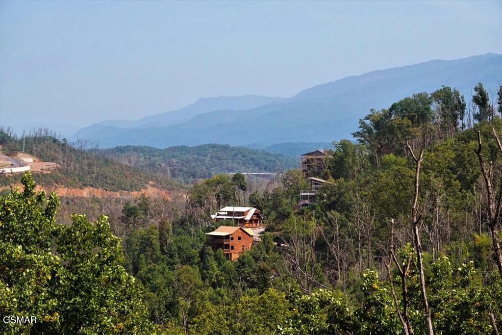 605 Wiley Oakley Drive Gatlinburg TN 37738