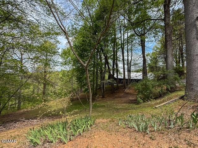 1421 Silver Poplar Lane Sevierville TN 37876