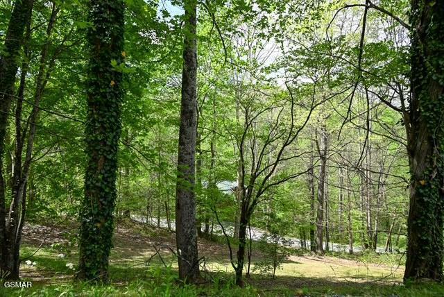 1421 Silver Poplar Lane Sevierville TN 37876