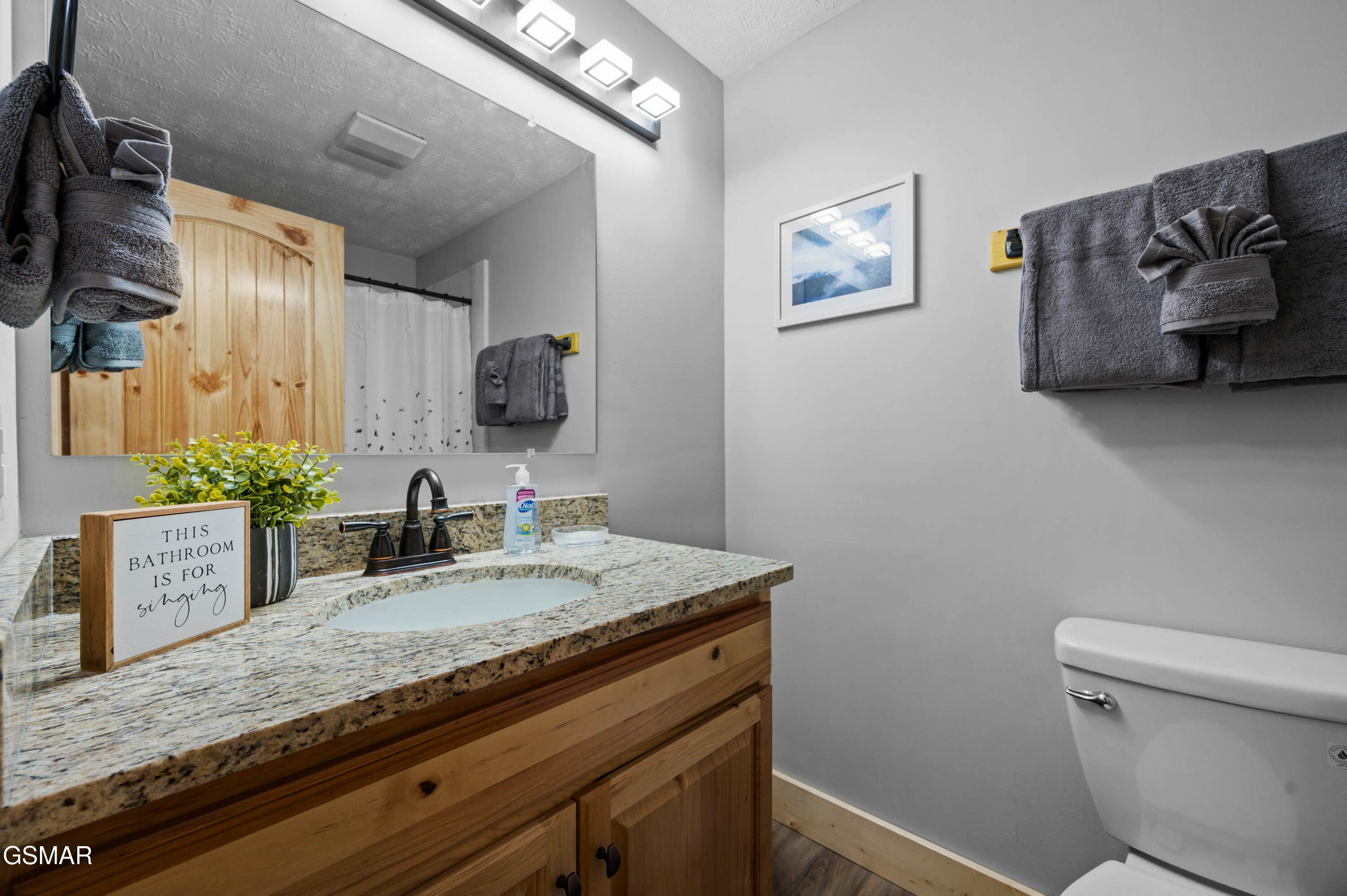 4222 Dollys Drive Sevierville TN 37876