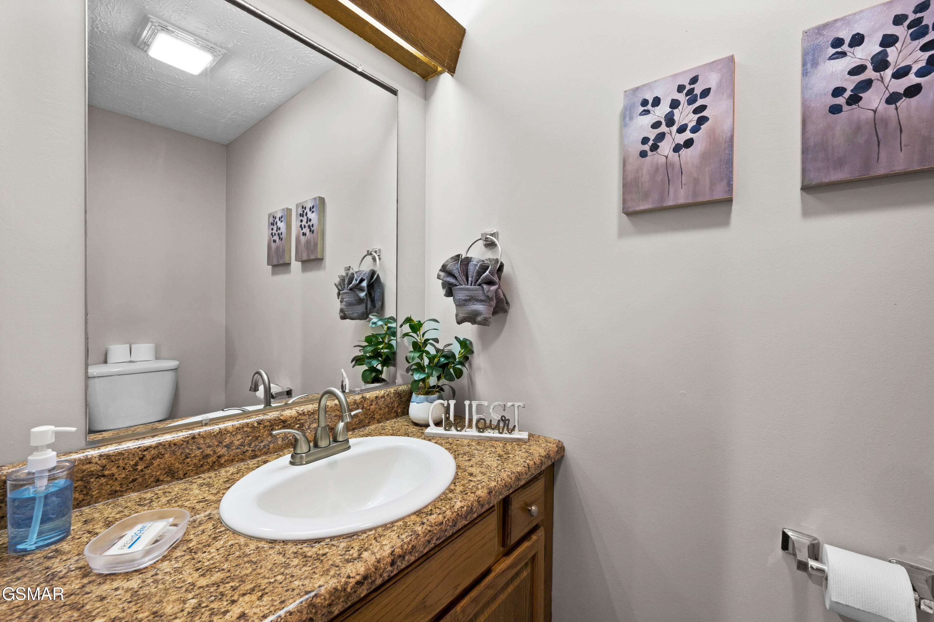 4222 Dollys Drive Sevierville TN 37876