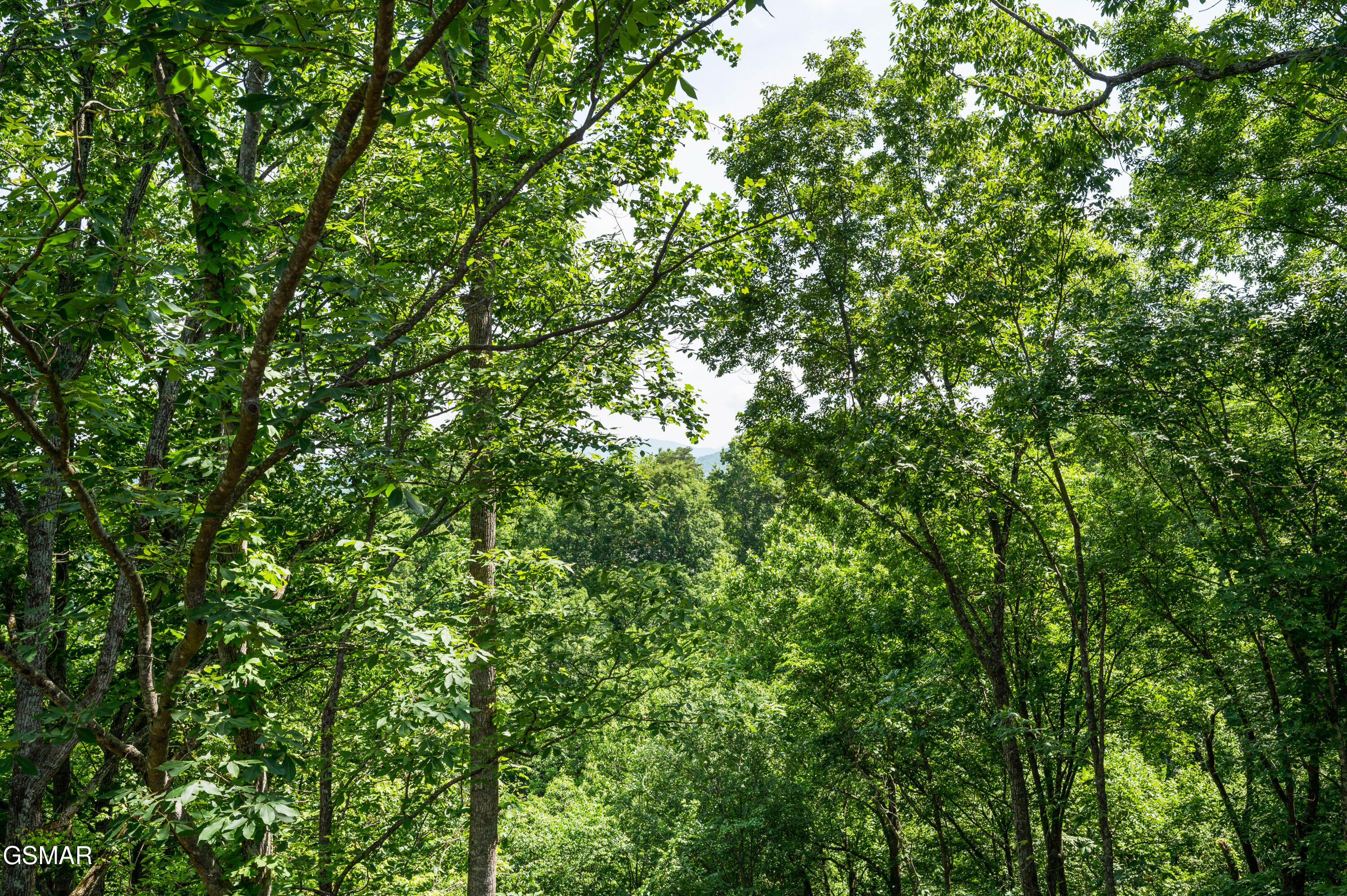 4222 Dollys Drive Sevierville TN 37876