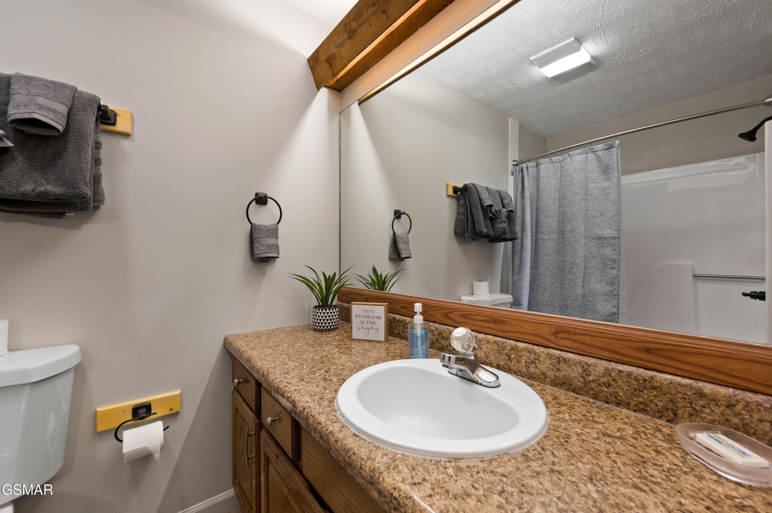 4222 Dollys Drive Sevierville TN 37876