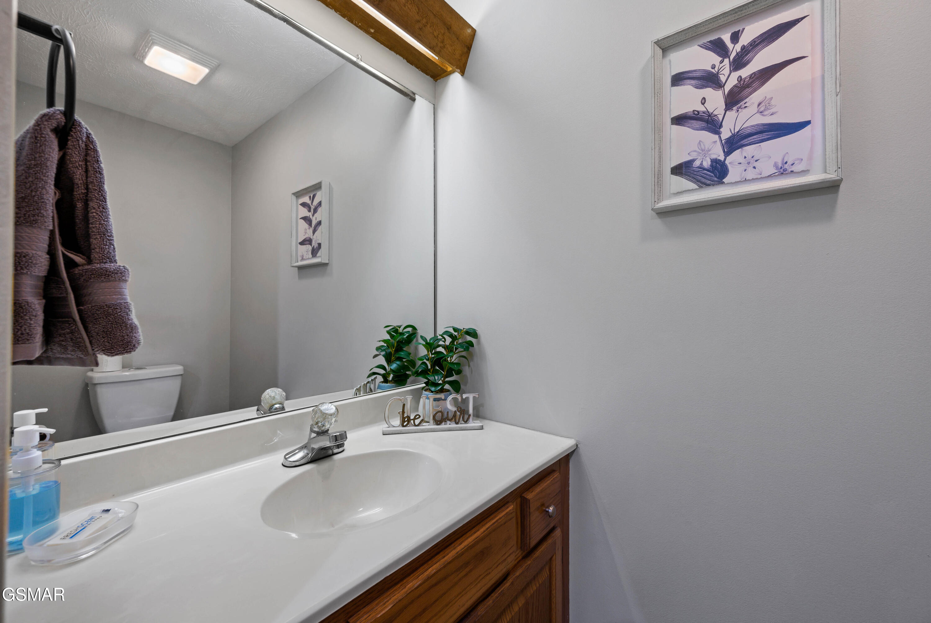 4222 Dollys Drive Sevierville TN 37876