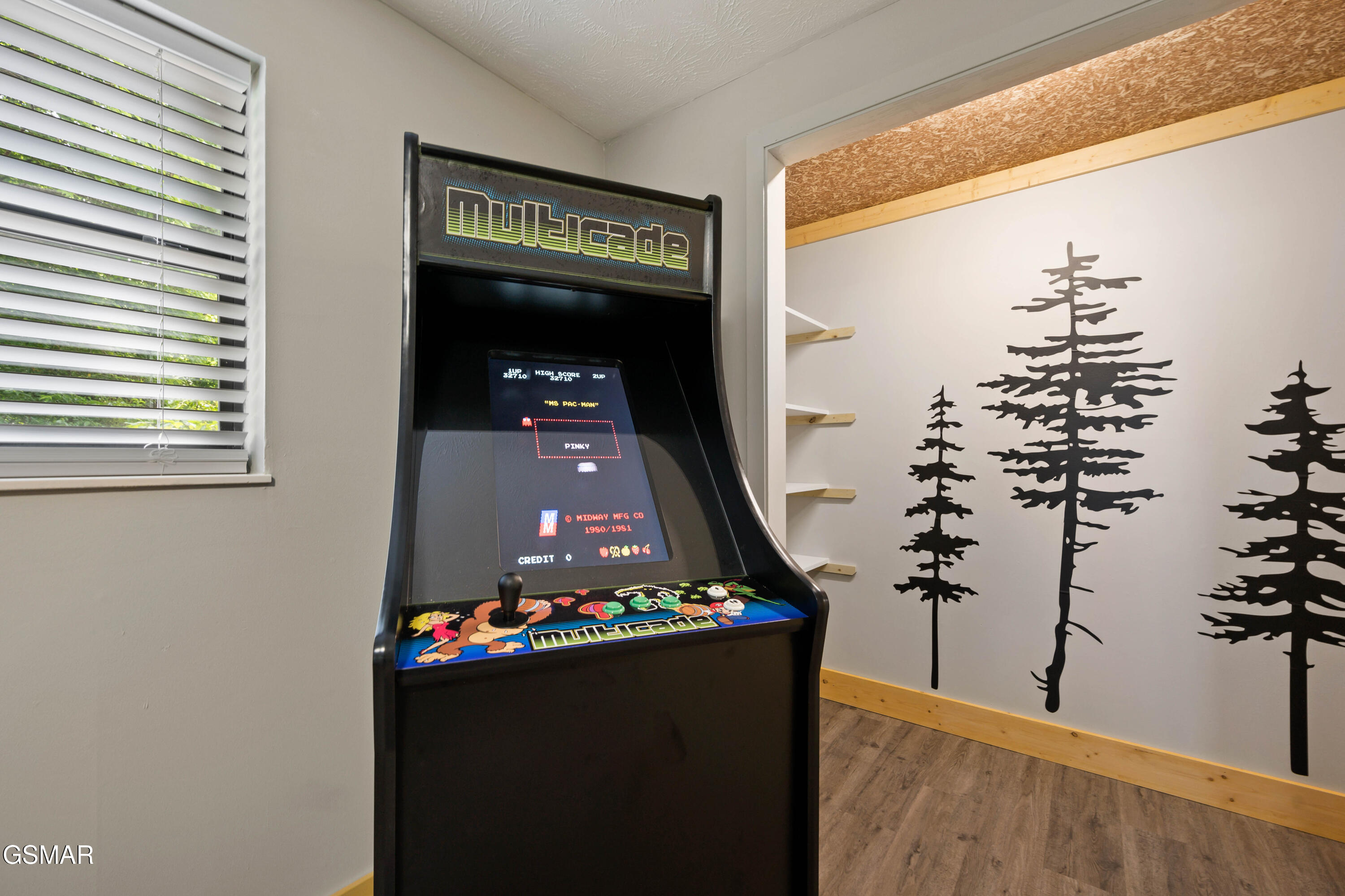 4222 Dollys Drive Sevierville TN 37876