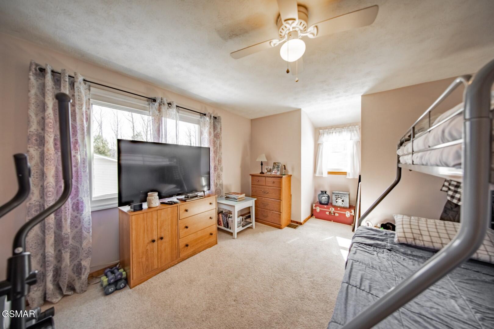 4260 Monte Vista Way Cosby TN 37722