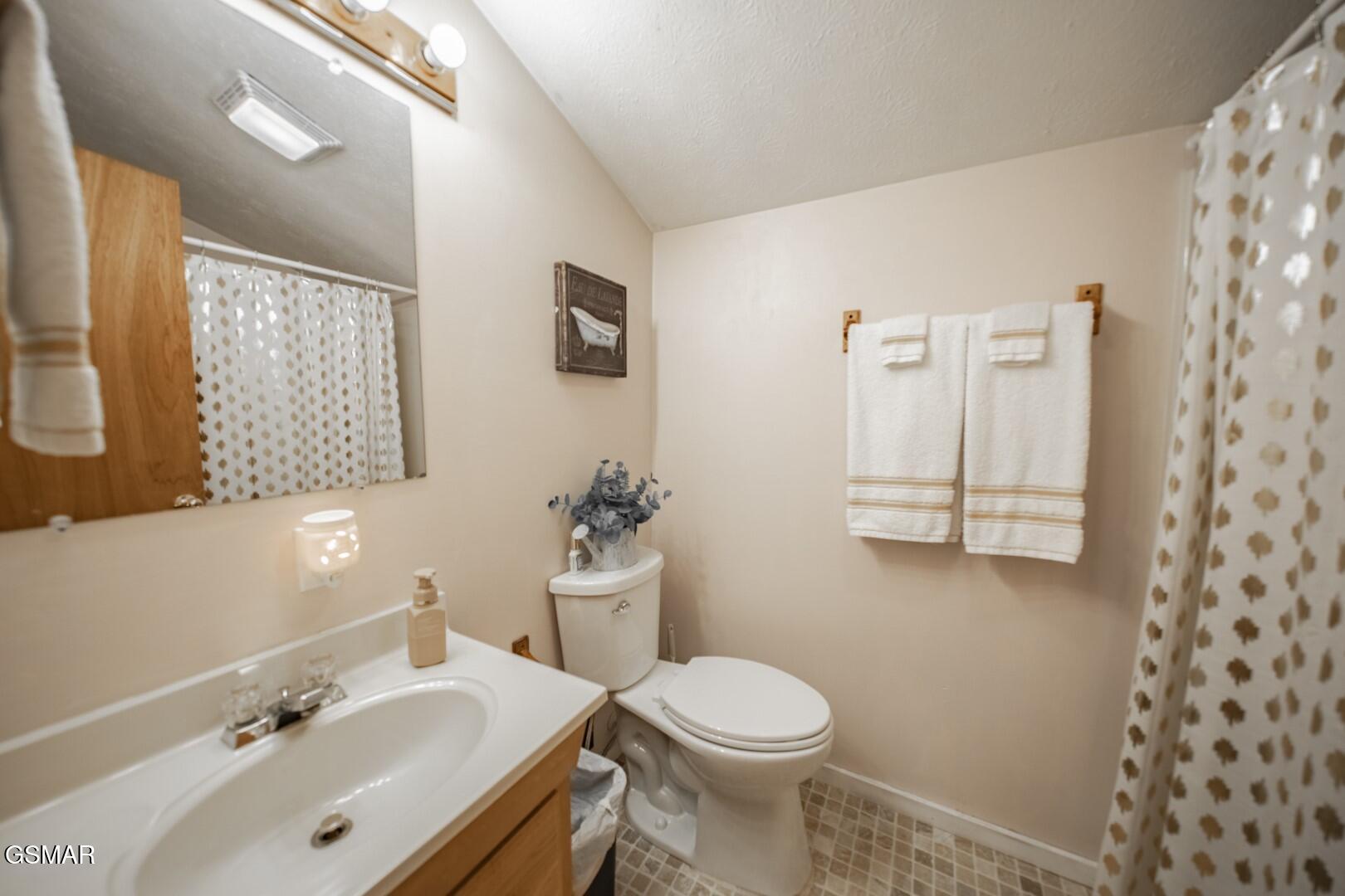 4260 Monte Vista Way Cosby TN 37722