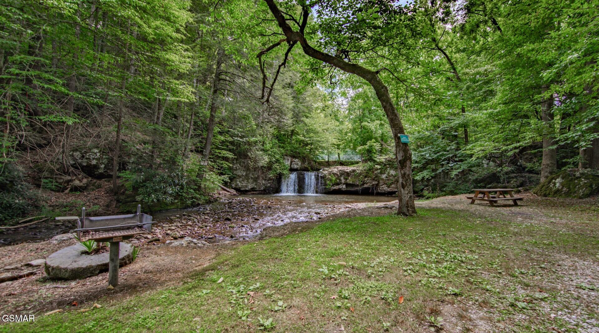 4260 Monte Vista Way Cosby TN 37722