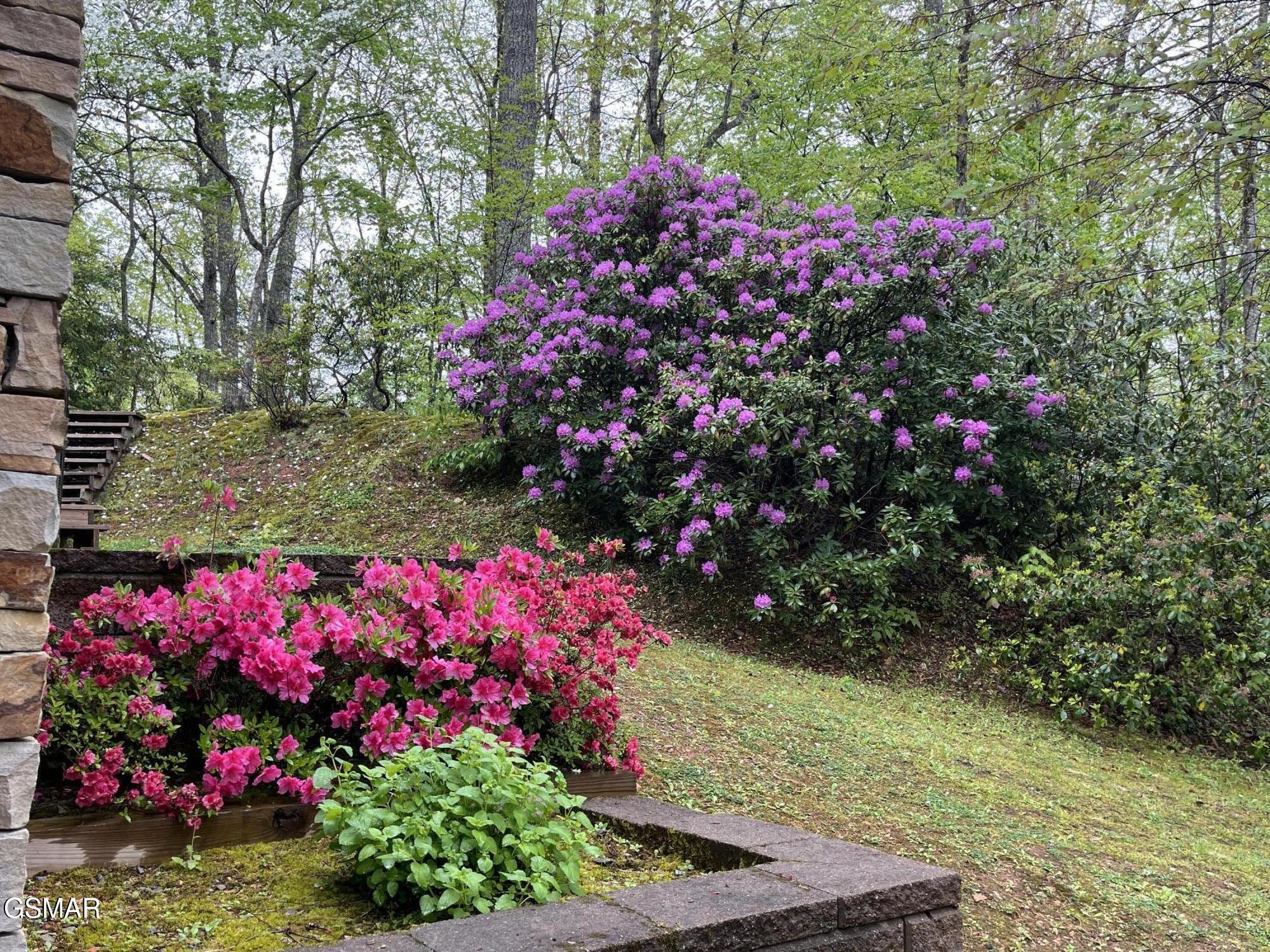 615 N Ownby Drive Gatlinburg TN 37738